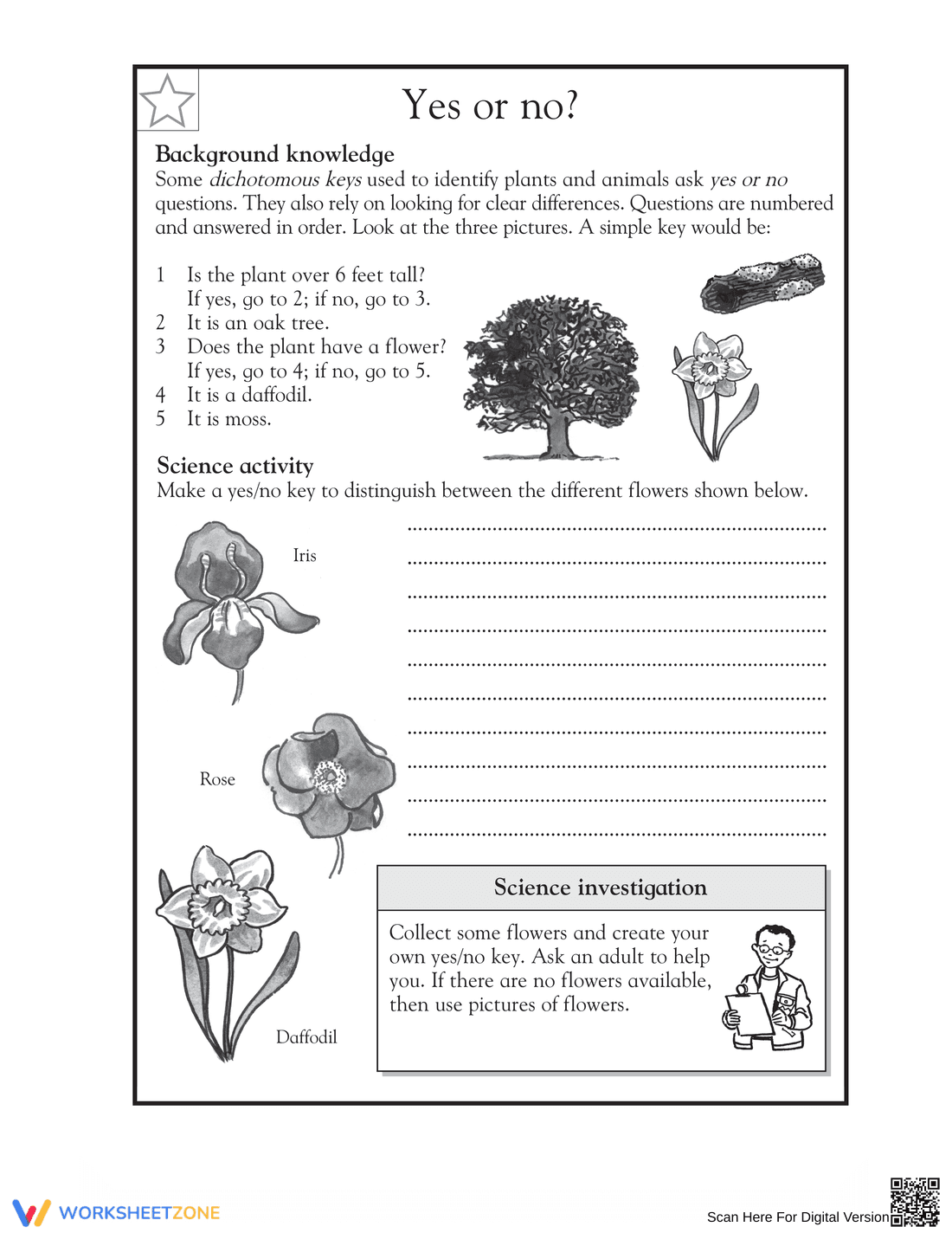 Printable Dichotomous Key Worksheet | Grade 5 Science - Page 1