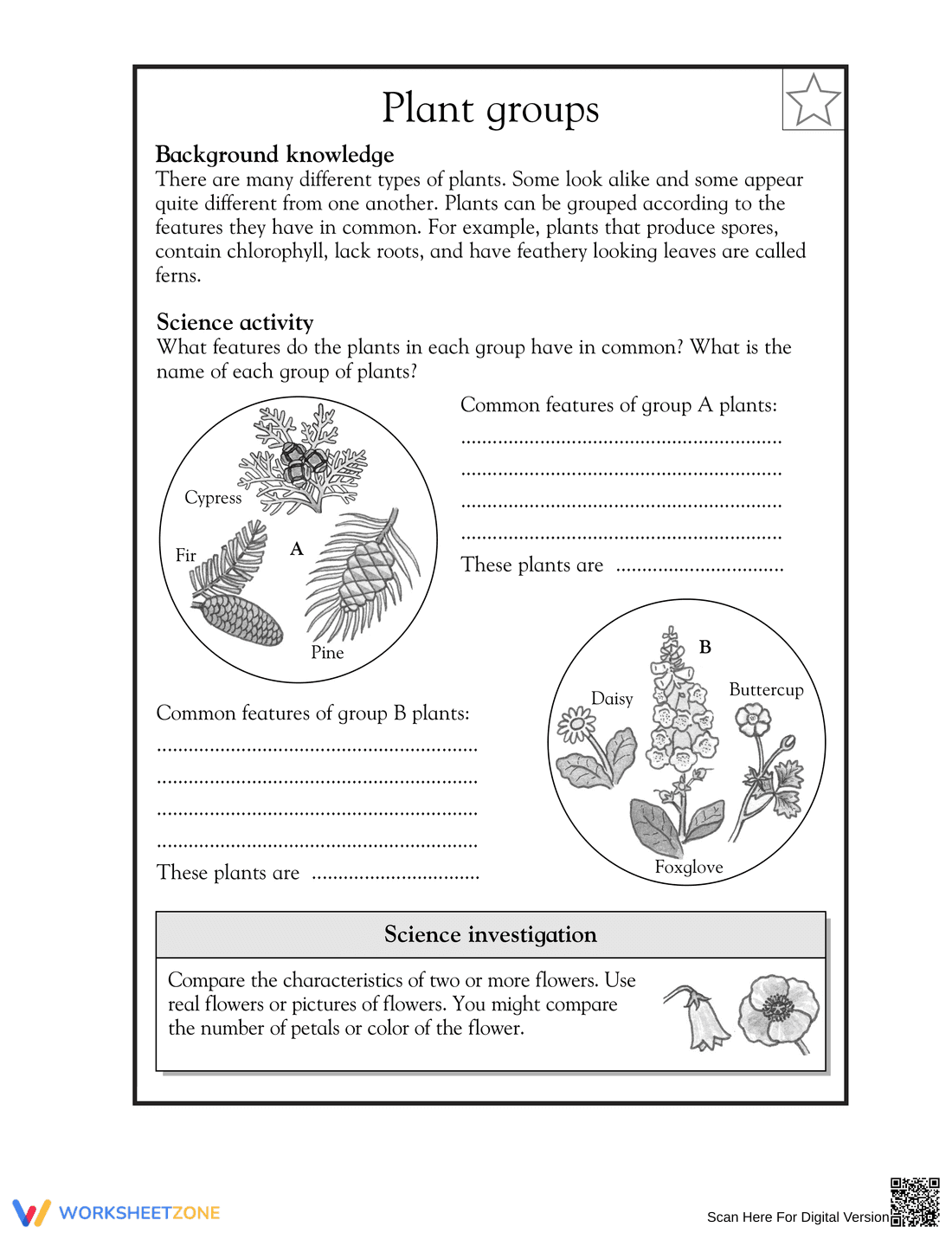 Grade 3-4 Plant Groups — Essential No-Prep Worksheet - Page 1