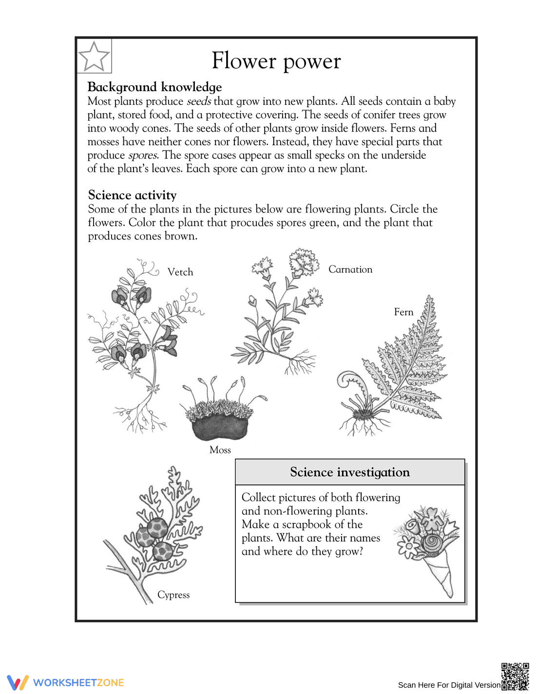 Flower Power Worksheet | Essential Grade 3-4 Science - Page 1