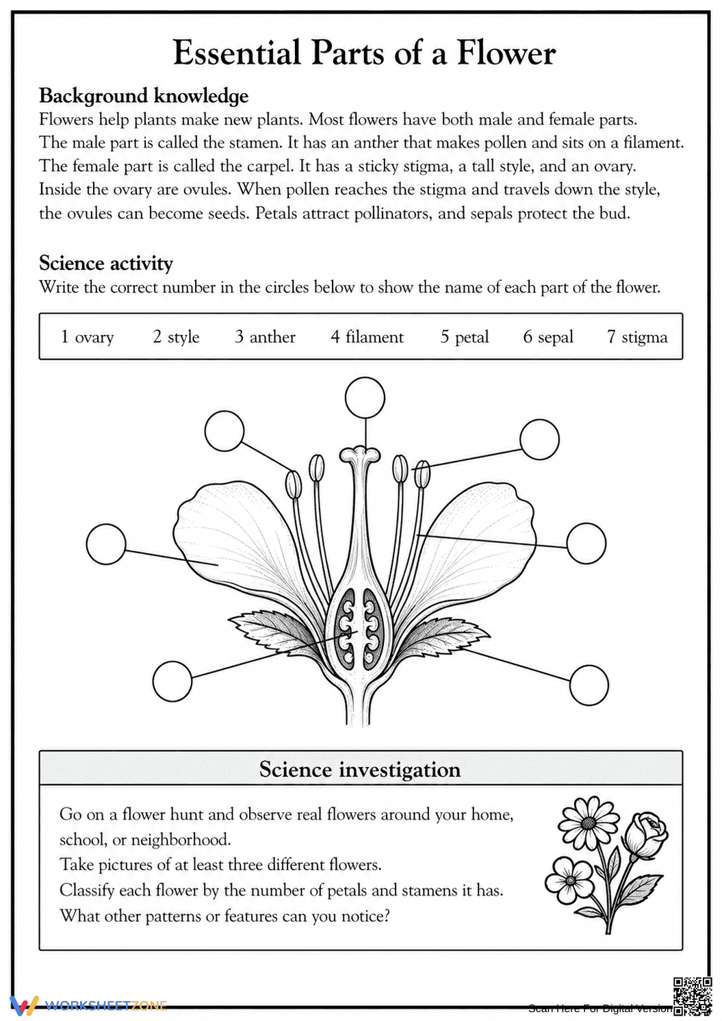 Essential Parts of a Flower Worksheet | Grade 5 Ready - Page 1