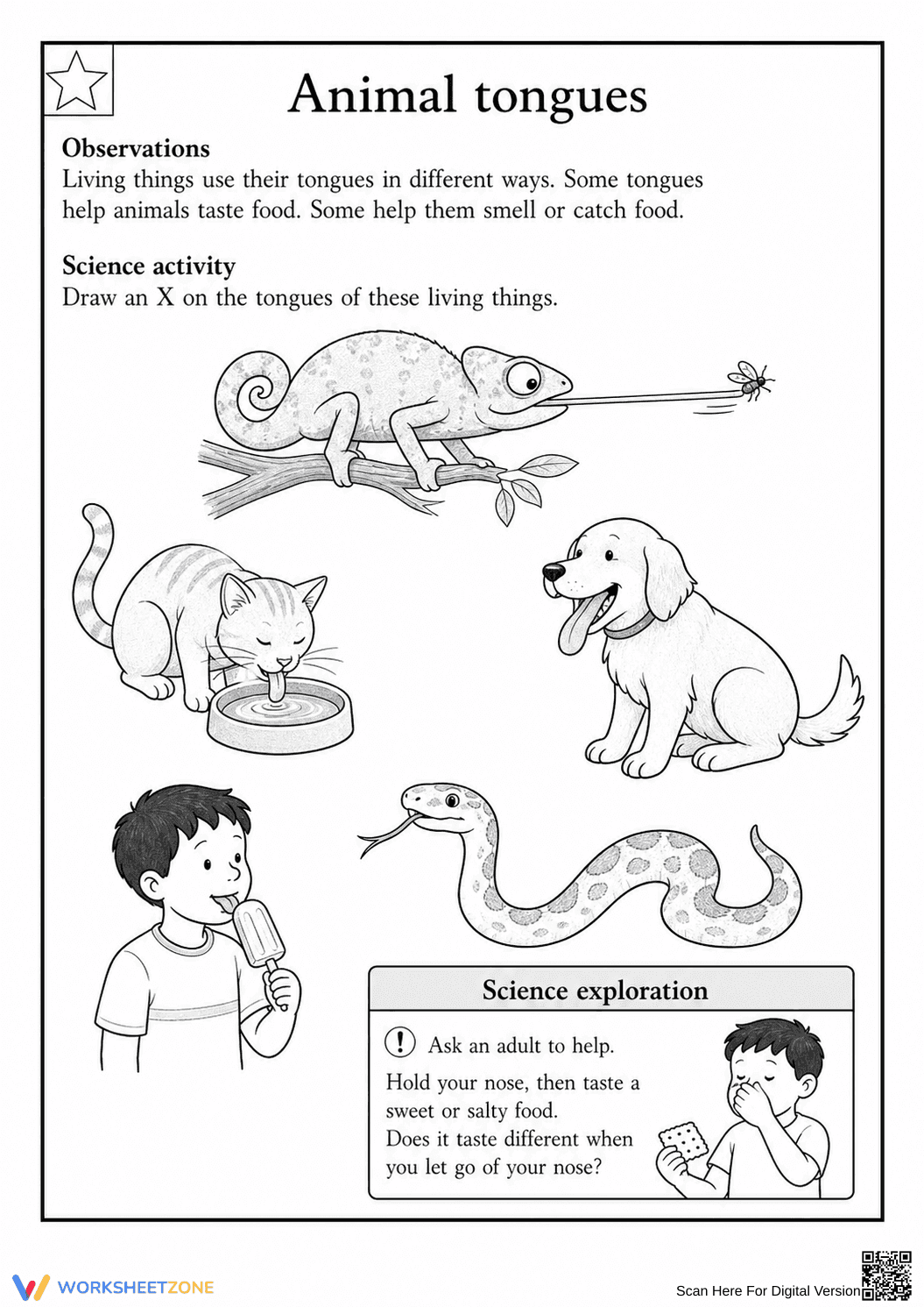 Grade 1 Animal Tongues Science Worksheet | Printable - Page 1