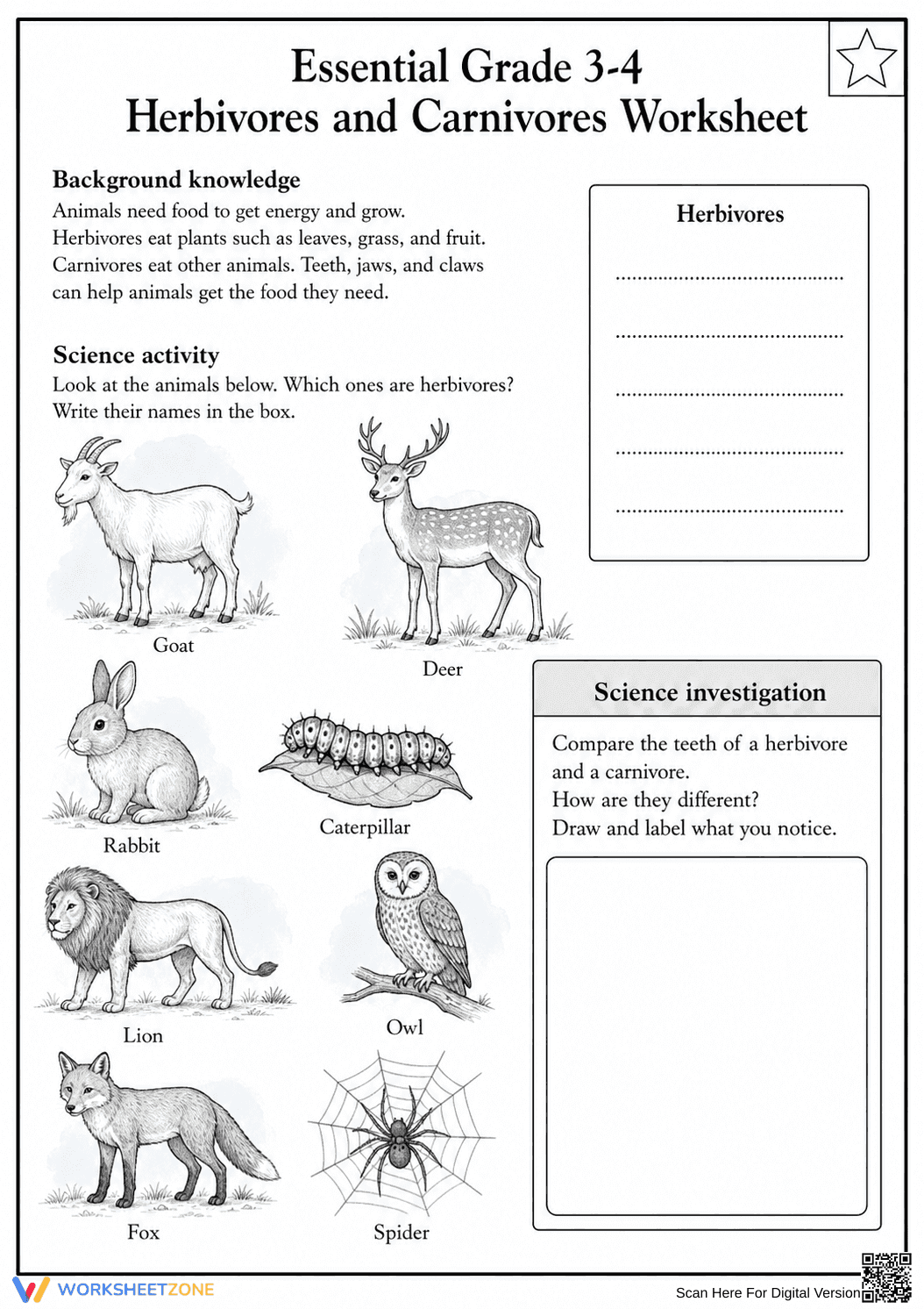 Grade 3-4 Herbivores — Printable No-Prep Worksheet - Page 1