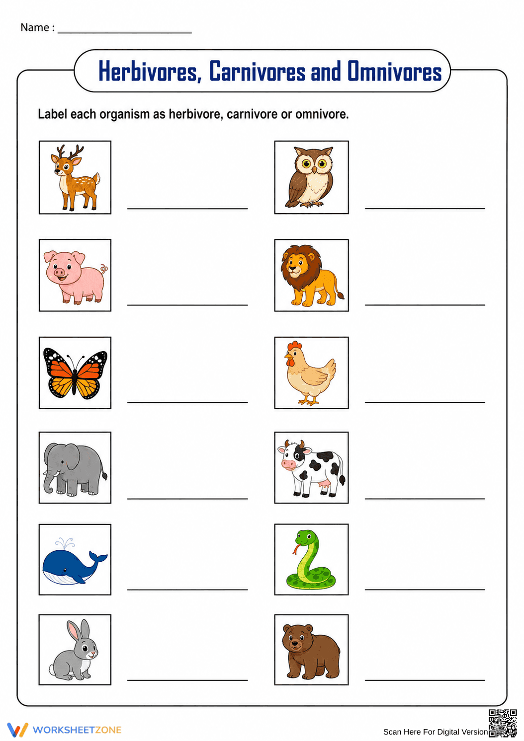 Grade 3 Animal Diets — Printable No-Prep Worksheet - Page 1