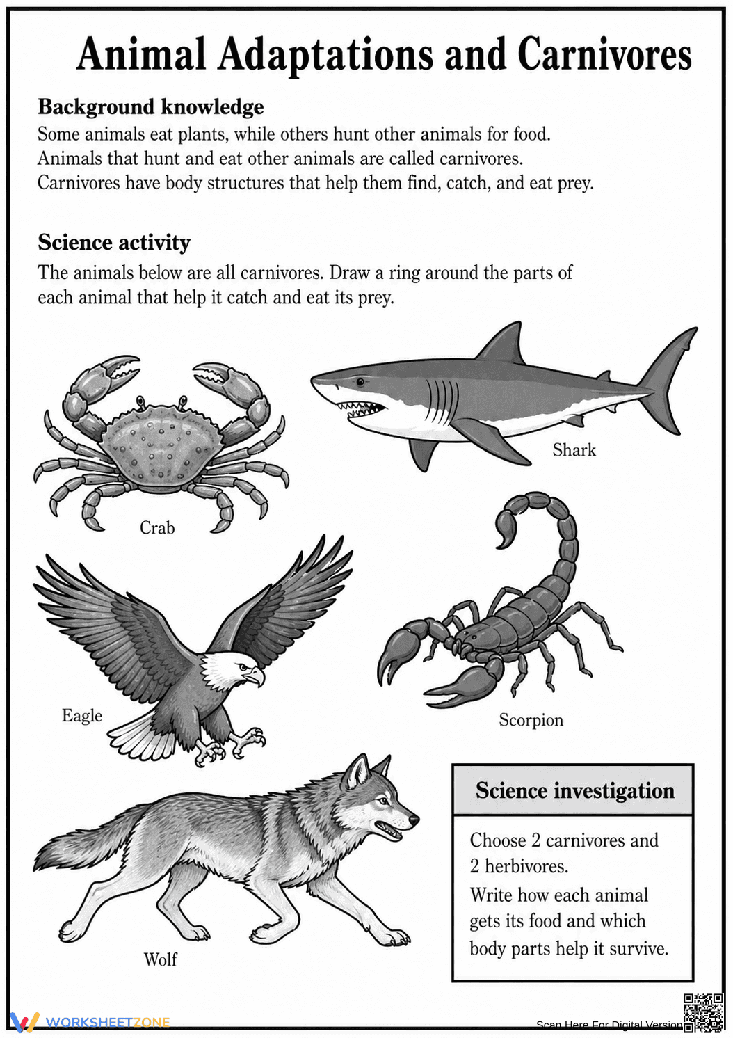 Animal Adaptations Printable Worksheet | Grade 4 Science - Page 1