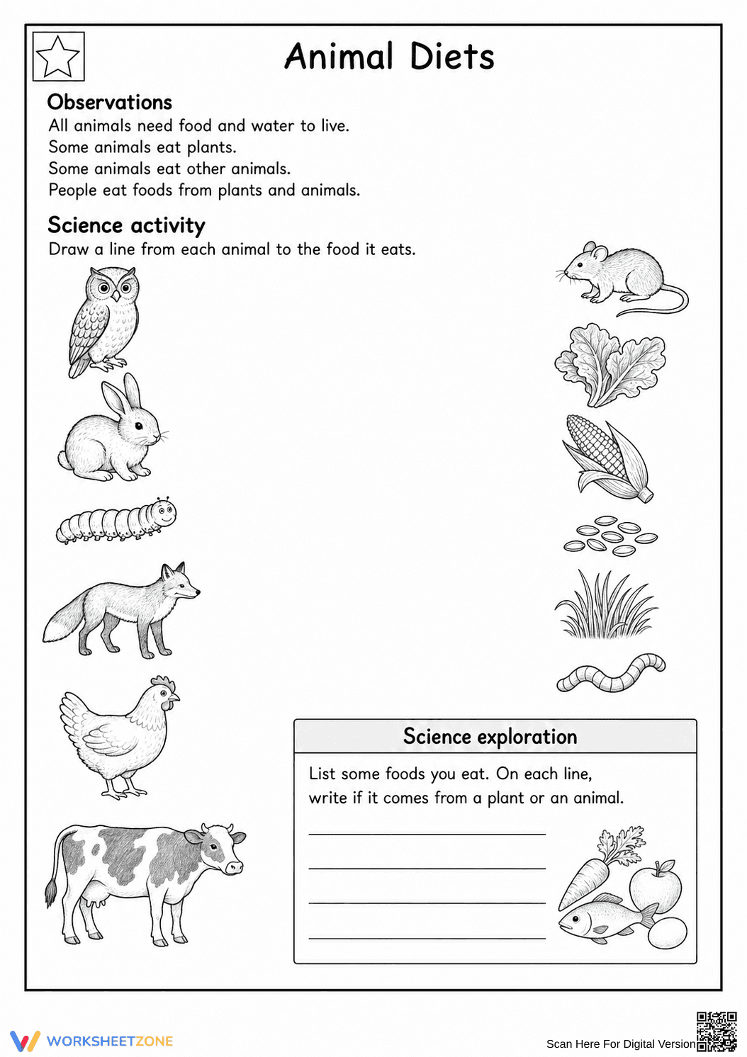 Essential Grade 1 Animal Diets Printable Worksheet - Page 1