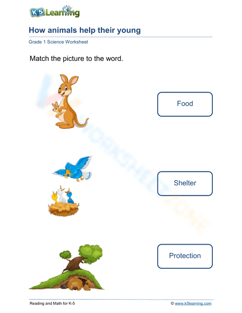 Essential Grade 1 How Animals Help Their Young Worksheet - Page 1