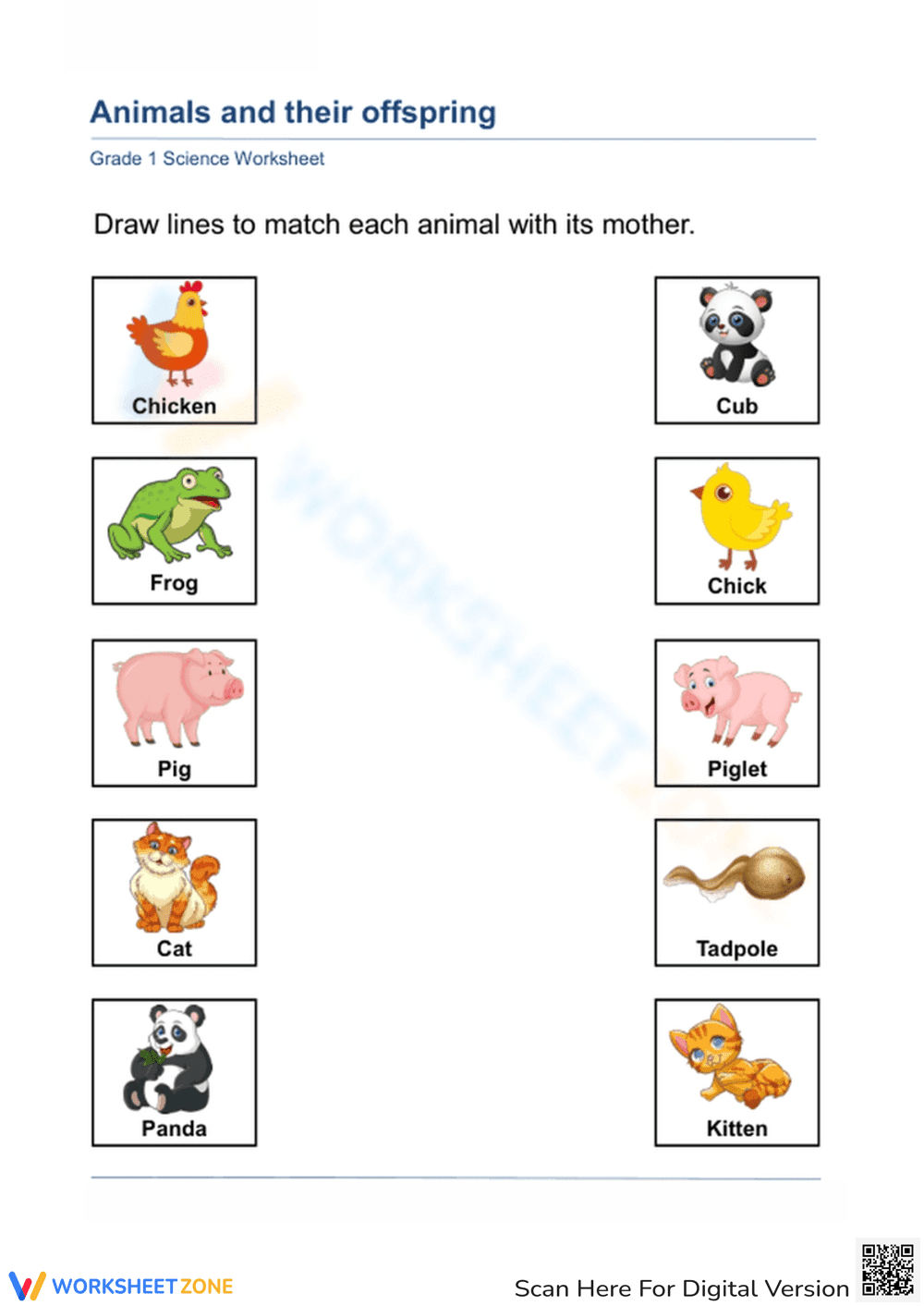 Printable Animal Offspring Matching Worksheet | Grade 1 - Page 1