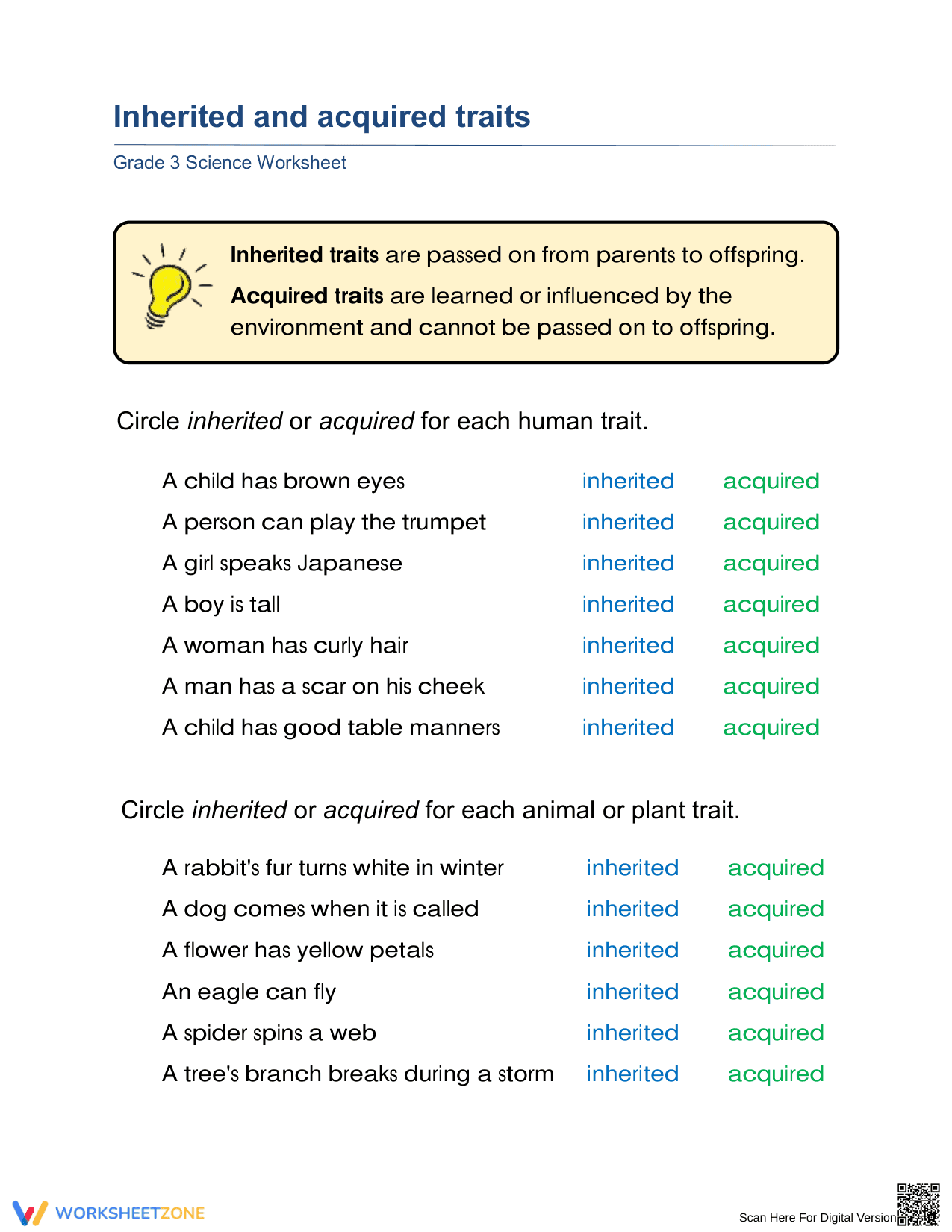 Printable Grade 3 Inherited vs. Acquired Traits Worksheet - Page 1