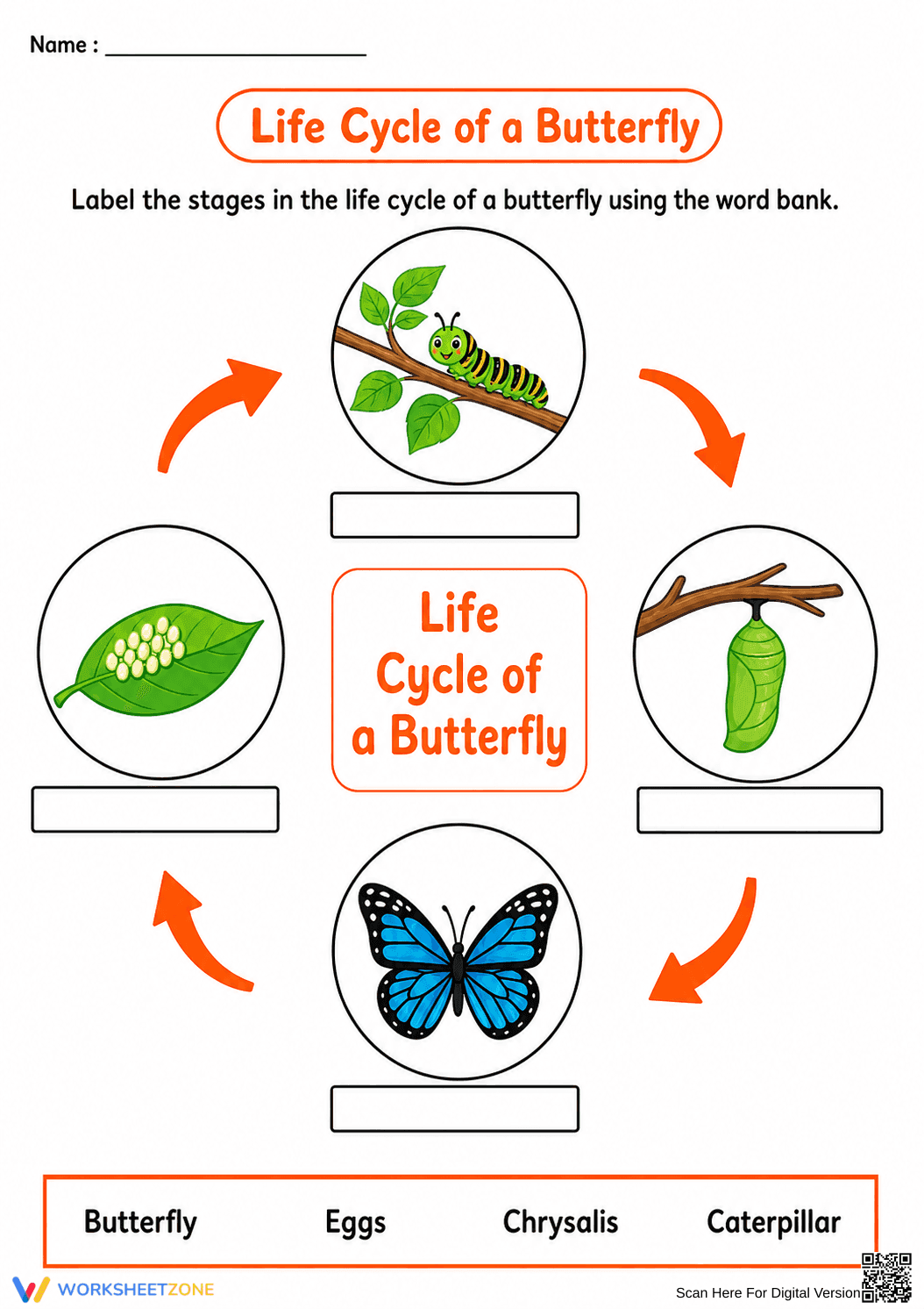 Grade 1 Butterfly Life Cycle — Printable No-Prep Worksheet - Page 1