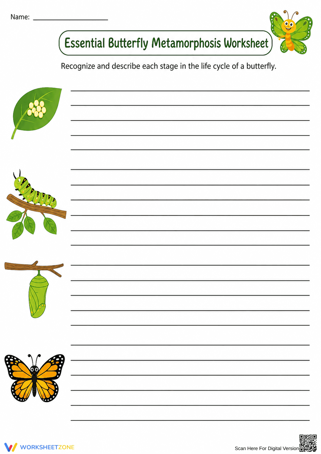 Printable Butterfly Life Cycle Worksheet | Grade 4-5 - Page 1