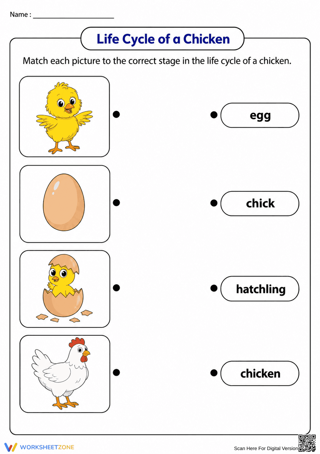 Grade 1 Chicken Life Cycle — Printable No-Prep Worksheet - Page 1