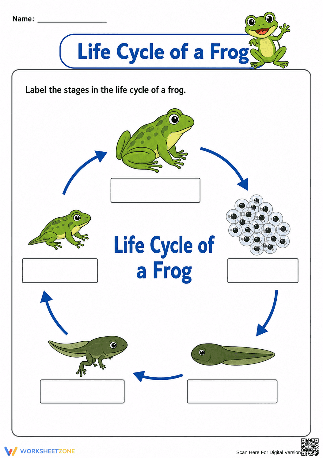 Printable Frog Life Cycle Worksheet | Grade 2 Science - Page 1