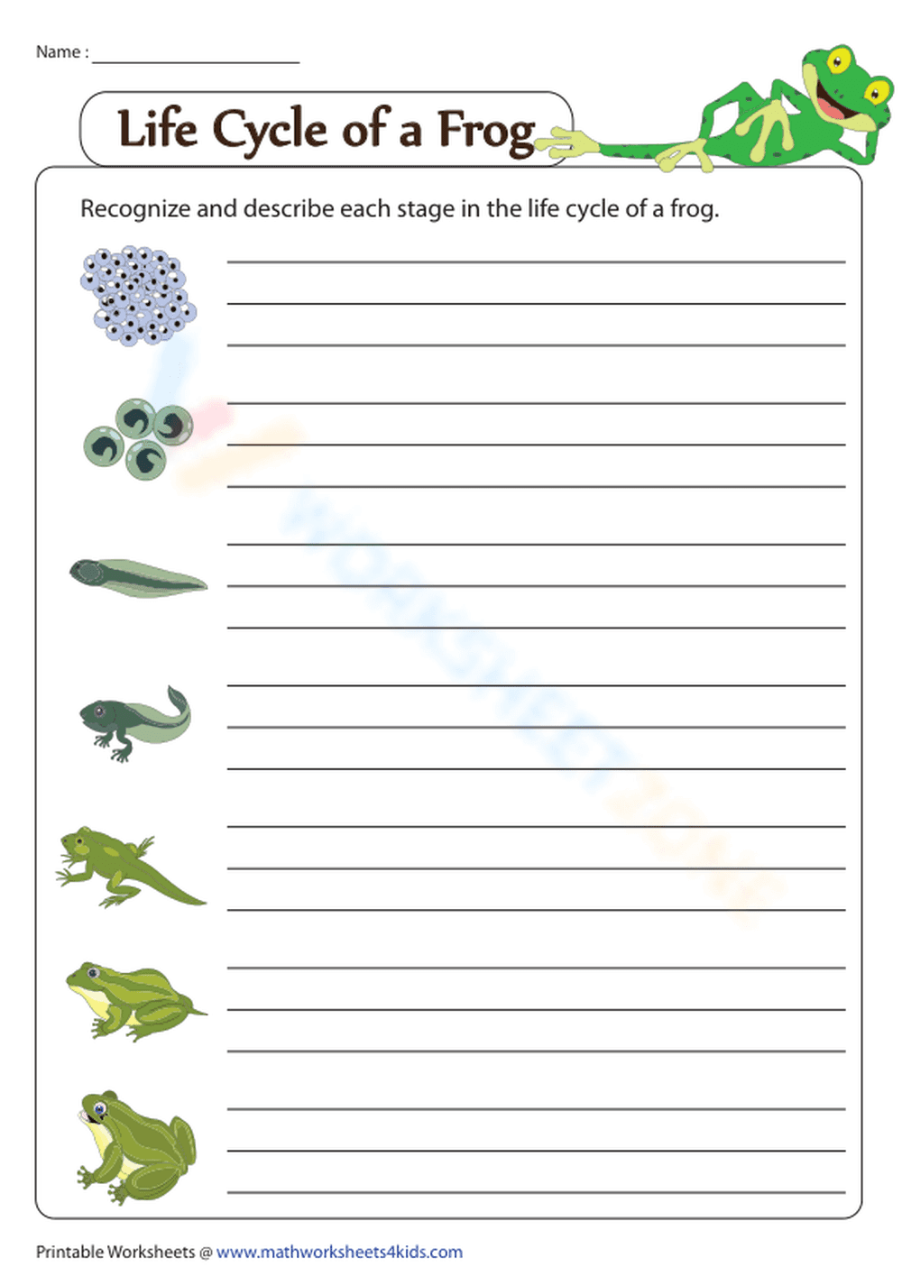 Life Cycle of a Frog Printable Worksheet | Grade 3-4 - Page 1