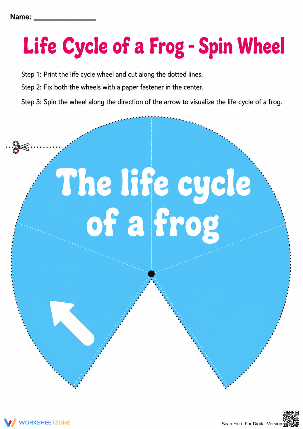 Frog Life Cycle Spin Wheel | Grade 3 Printable Worksheet - Page 1