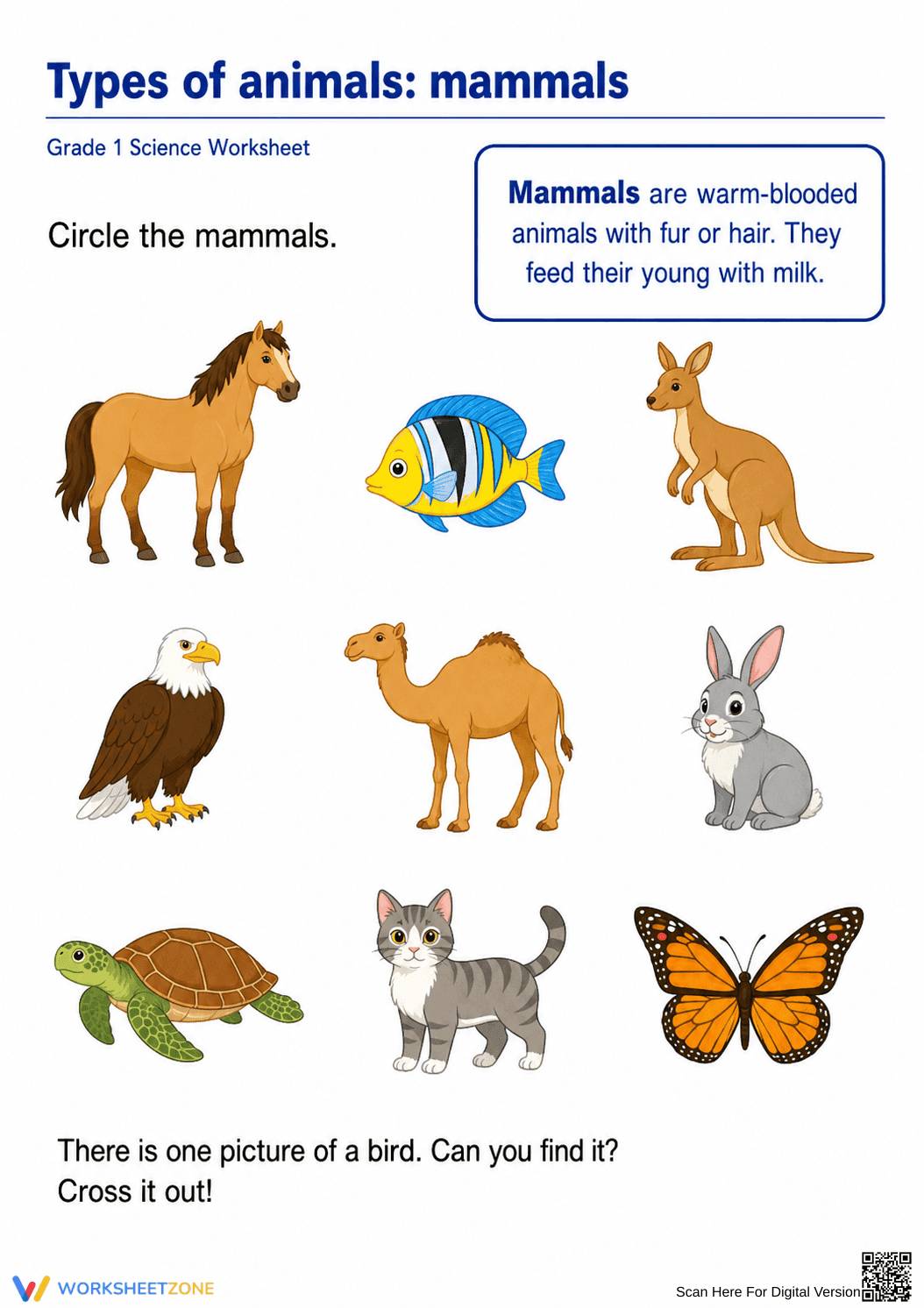 Grade 1 Mammals — Printable No-Prep Worksheet - Page 1