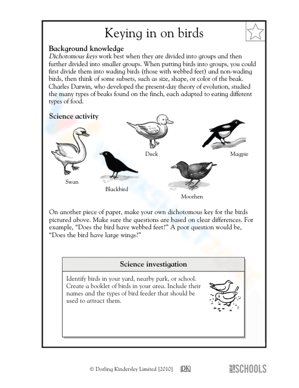Essential Grade 5 Bird Dichotomous Key Printable Worksheet - Page 1