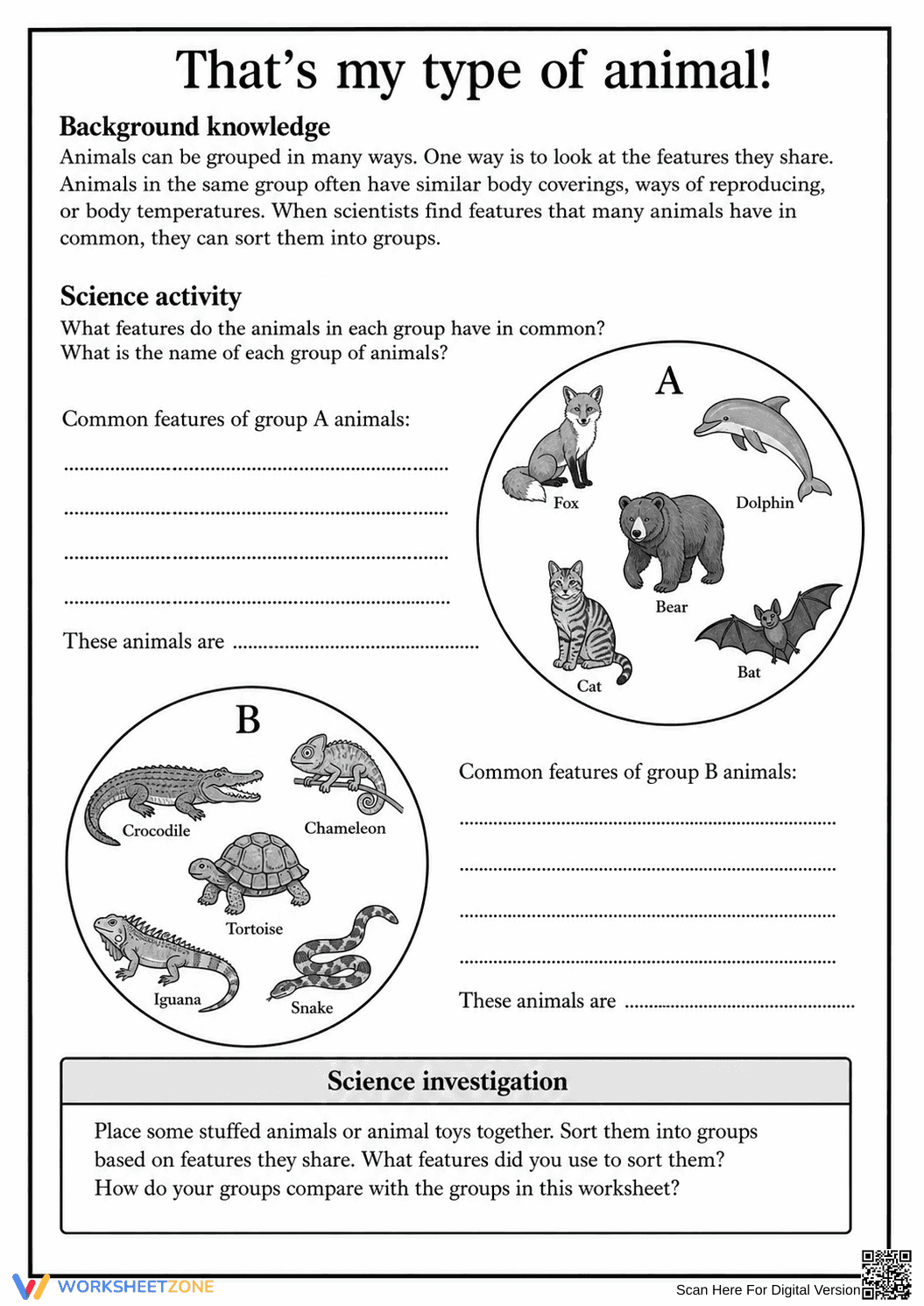 Grade 3 Animal Classification — Printable No-Prep Worksheet - Page 1