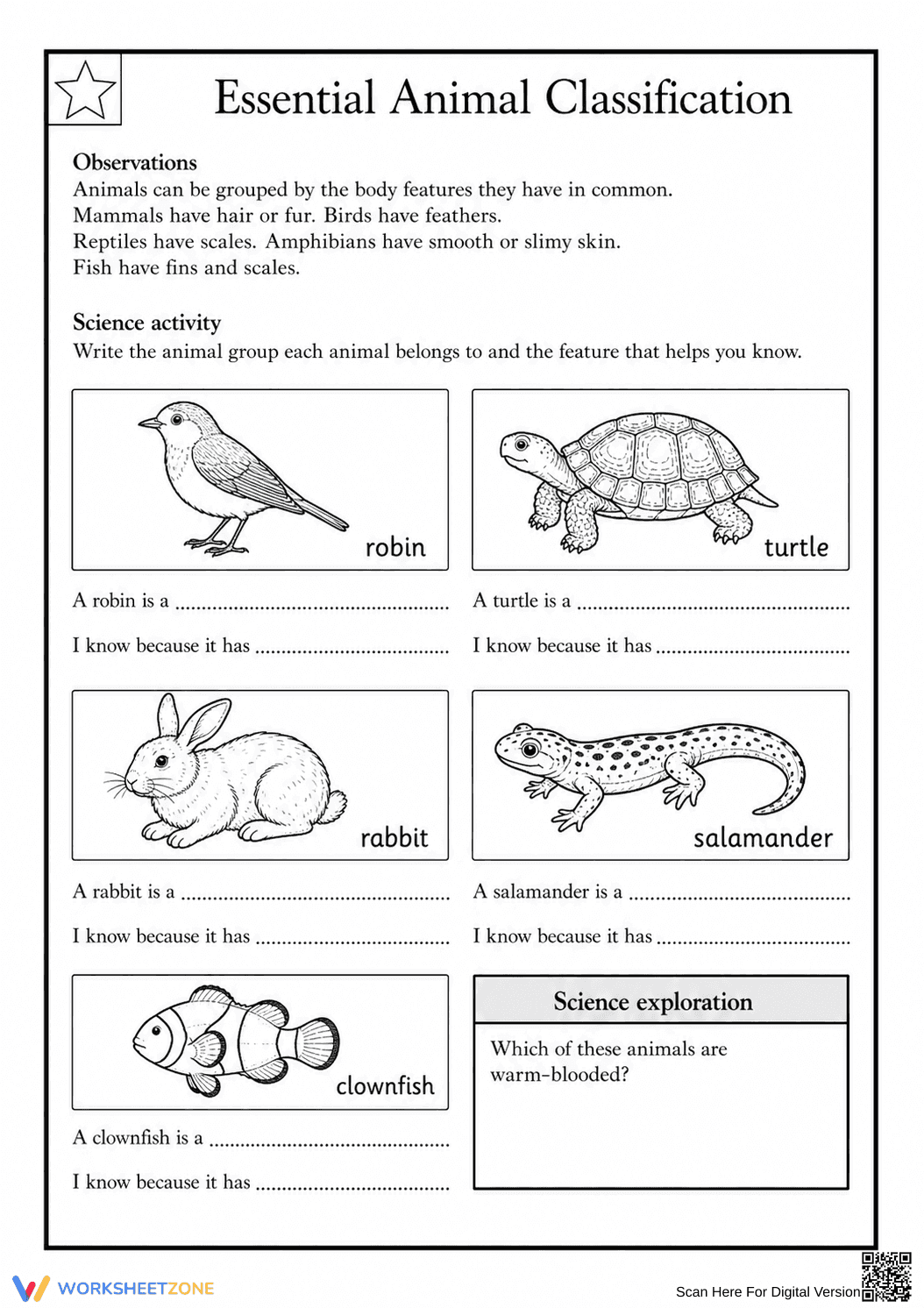 Essential Animal Classification | Grade 1-2 Science - Page 1