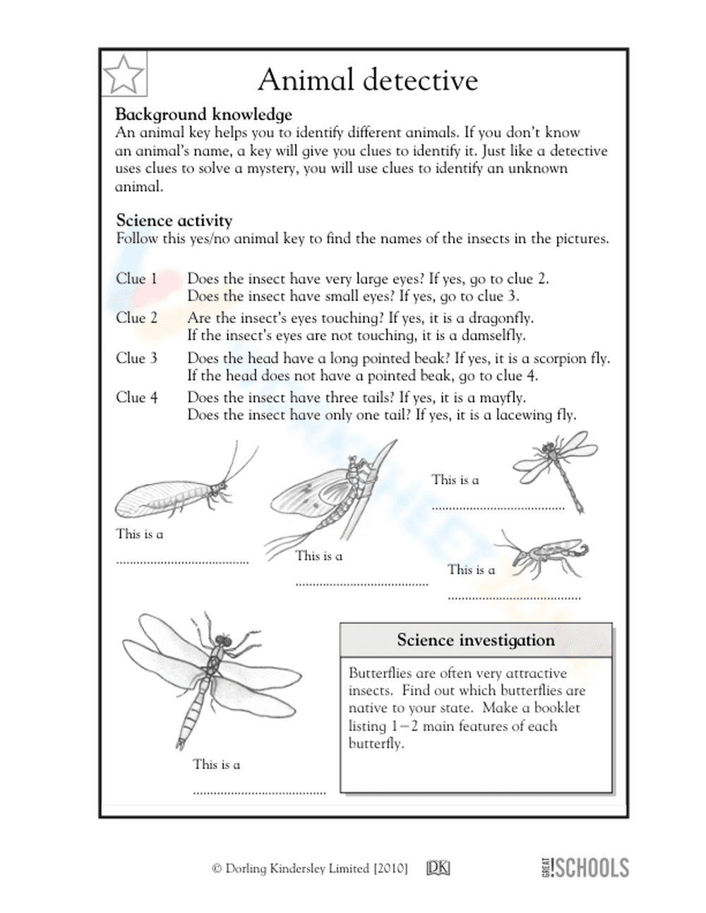Printable Insect Dichotomous Key Worksheet | Grade 3 Science - Page 1