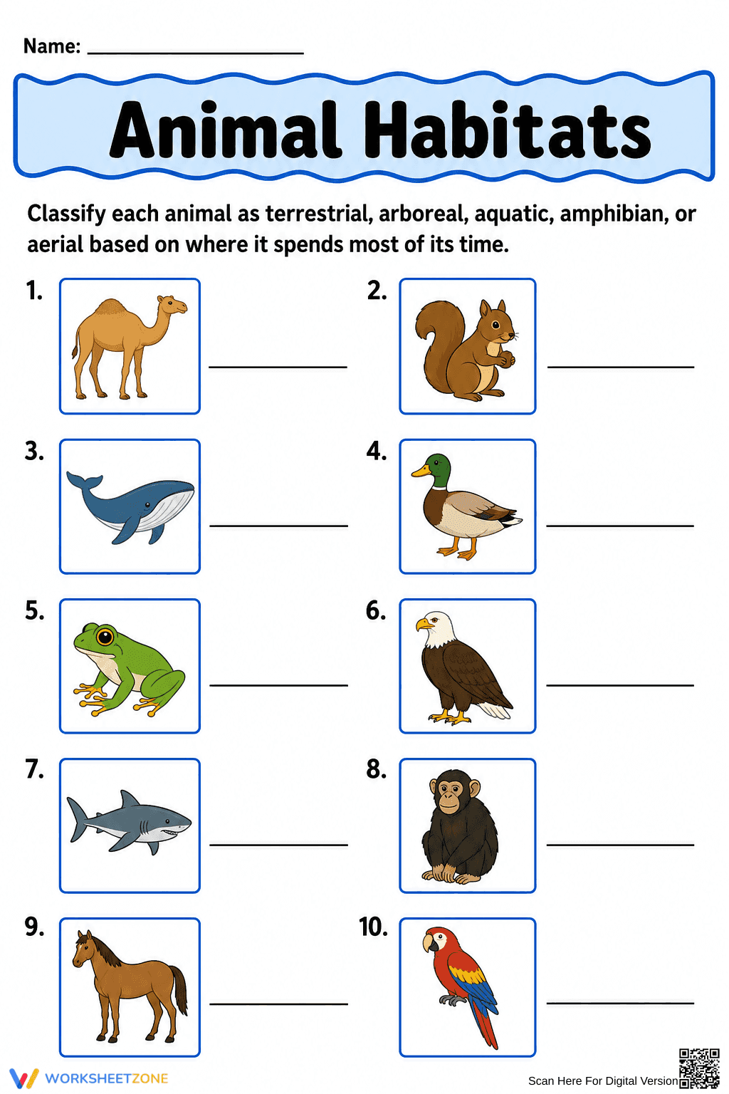 Grade 3 Animal Habitats — Printable No-Prep Worksheet - Page 1