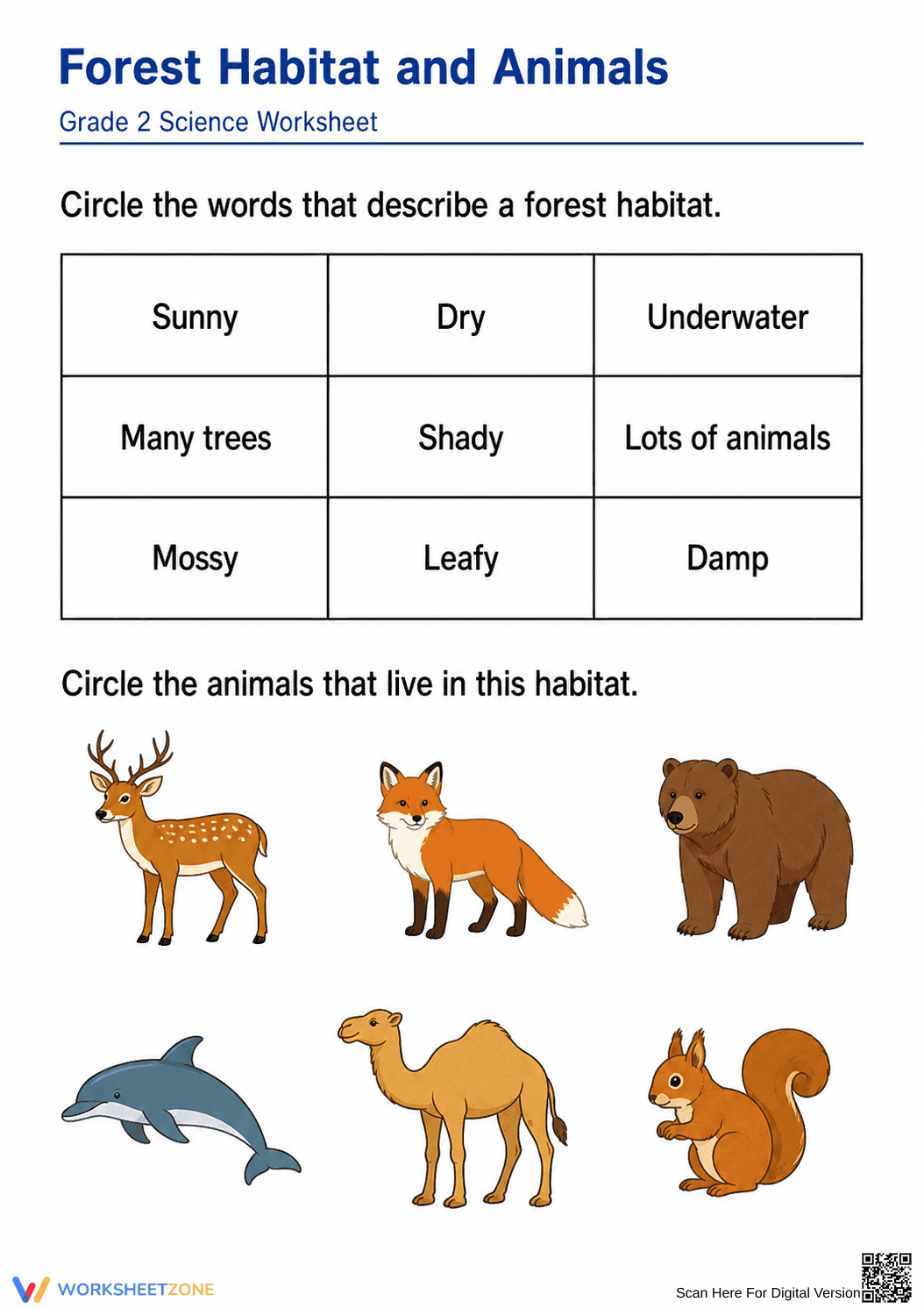 Essential Forest Habitat & Animals Worksheet | Grade 2 - Page 1