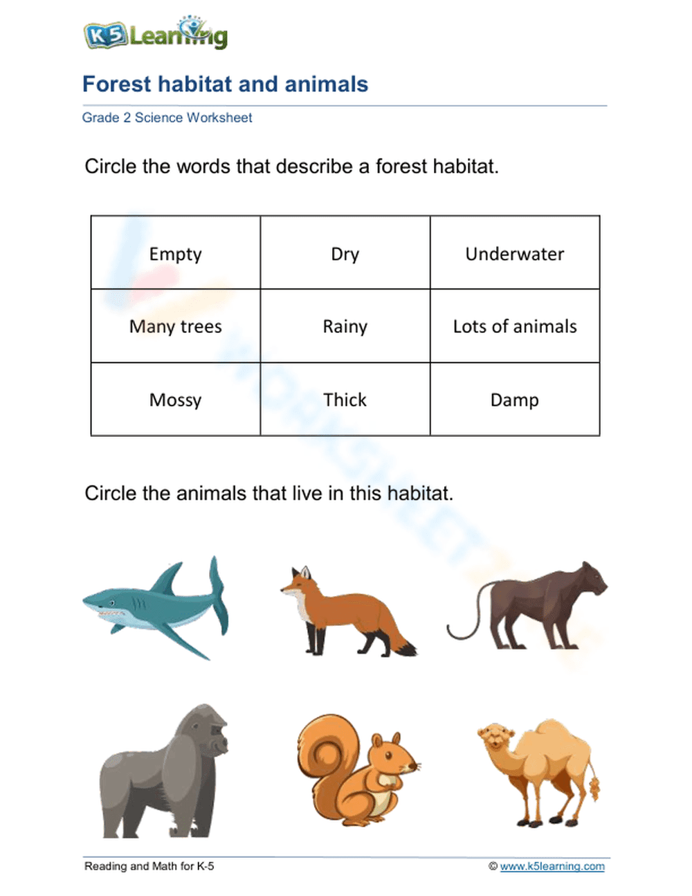 Essential Forest Habitat & Animals Worksheet | Grade 2 - Page 1
