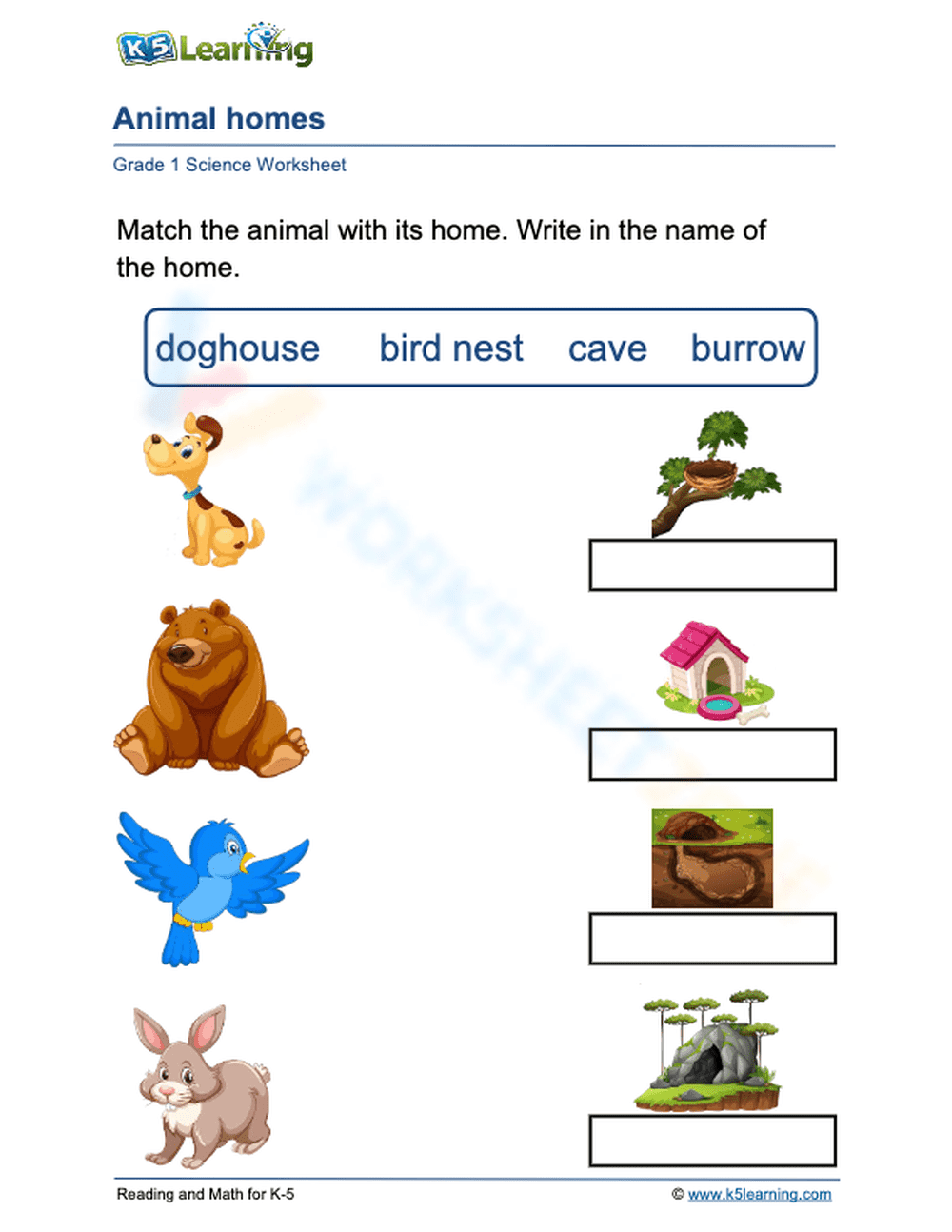 Essential Grade 1 Animal Homes Matching Worksheet - Page 1