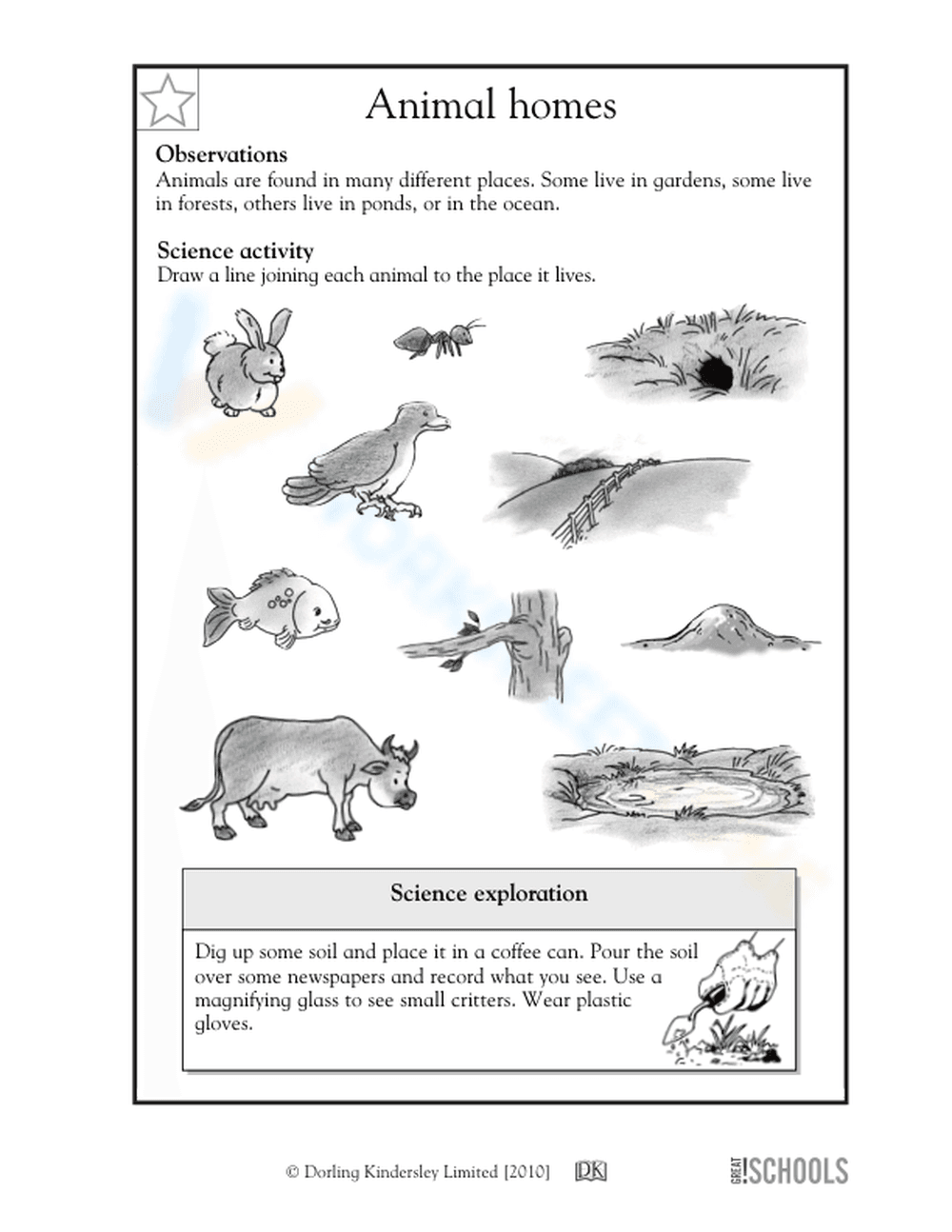 Animal Homes Worksheet | Essential Grade 1-2 Science - Page 1