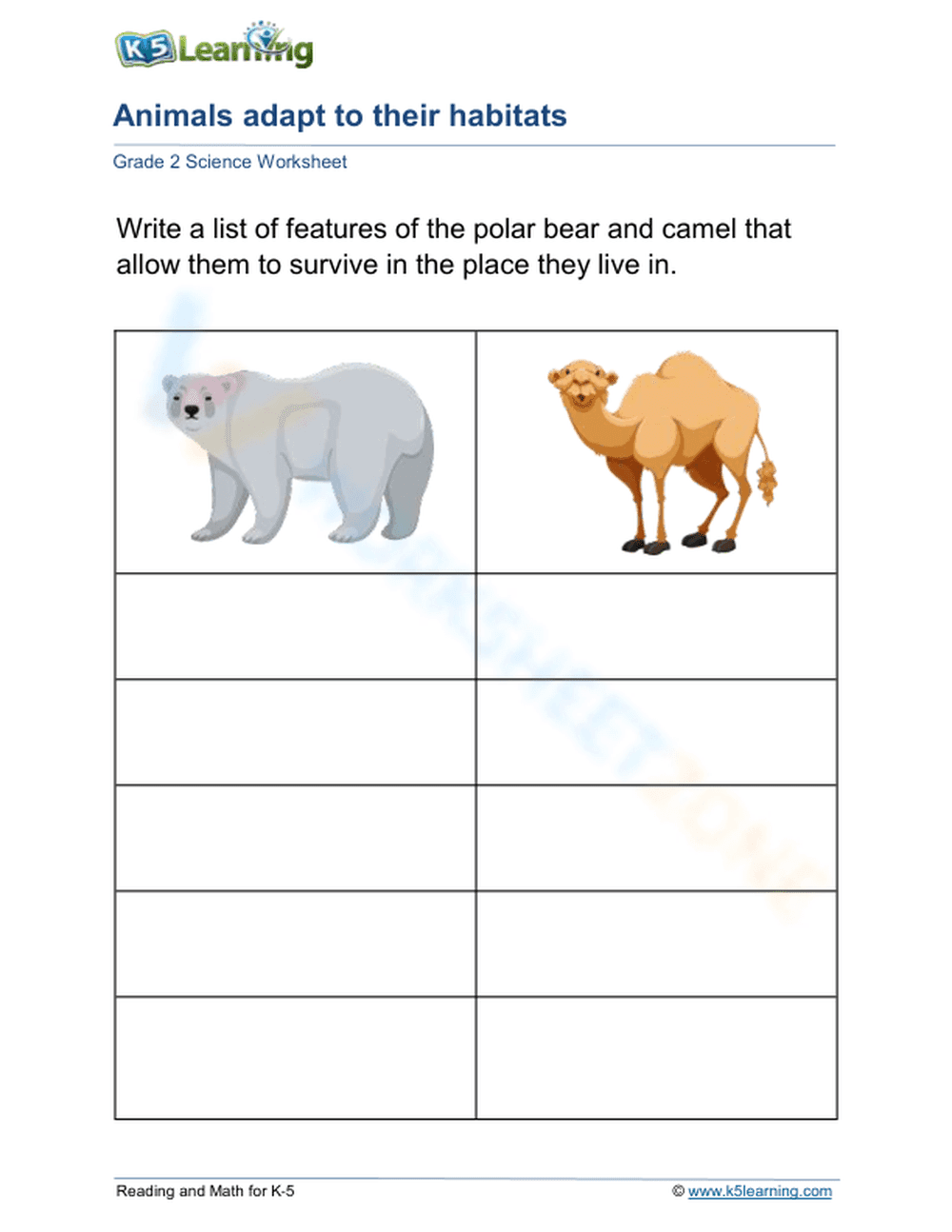 Grade 2 Animal Adaptations — Printable No-Prep Worksheet - Page 1
