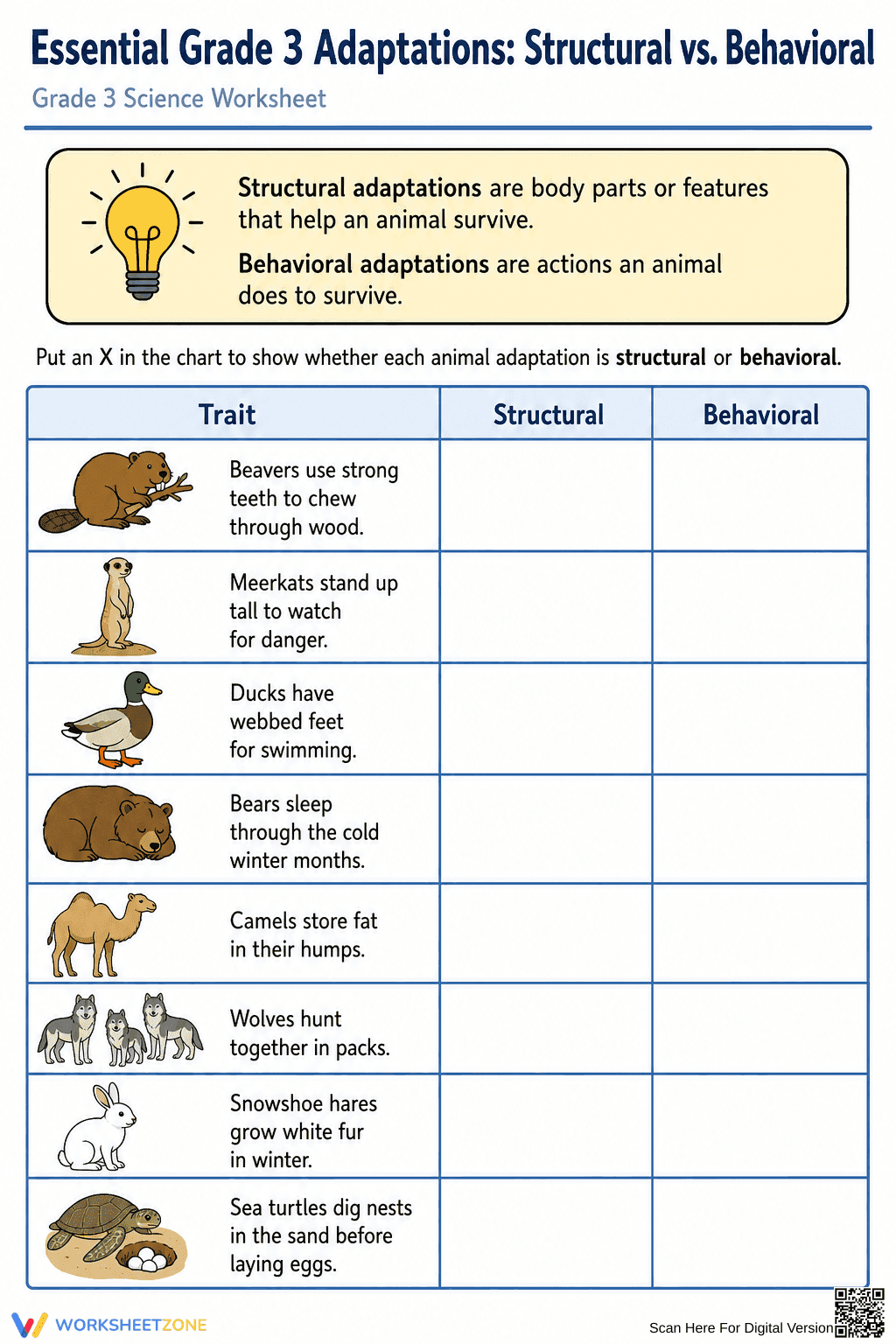 Grade 3 Animal Adaptations — Printable No-Prep Worksheet - Page 1