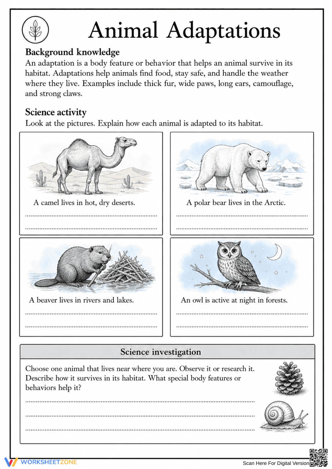 Animal Adaptations Worksheet | Grade 5 Essential Science - Page 1