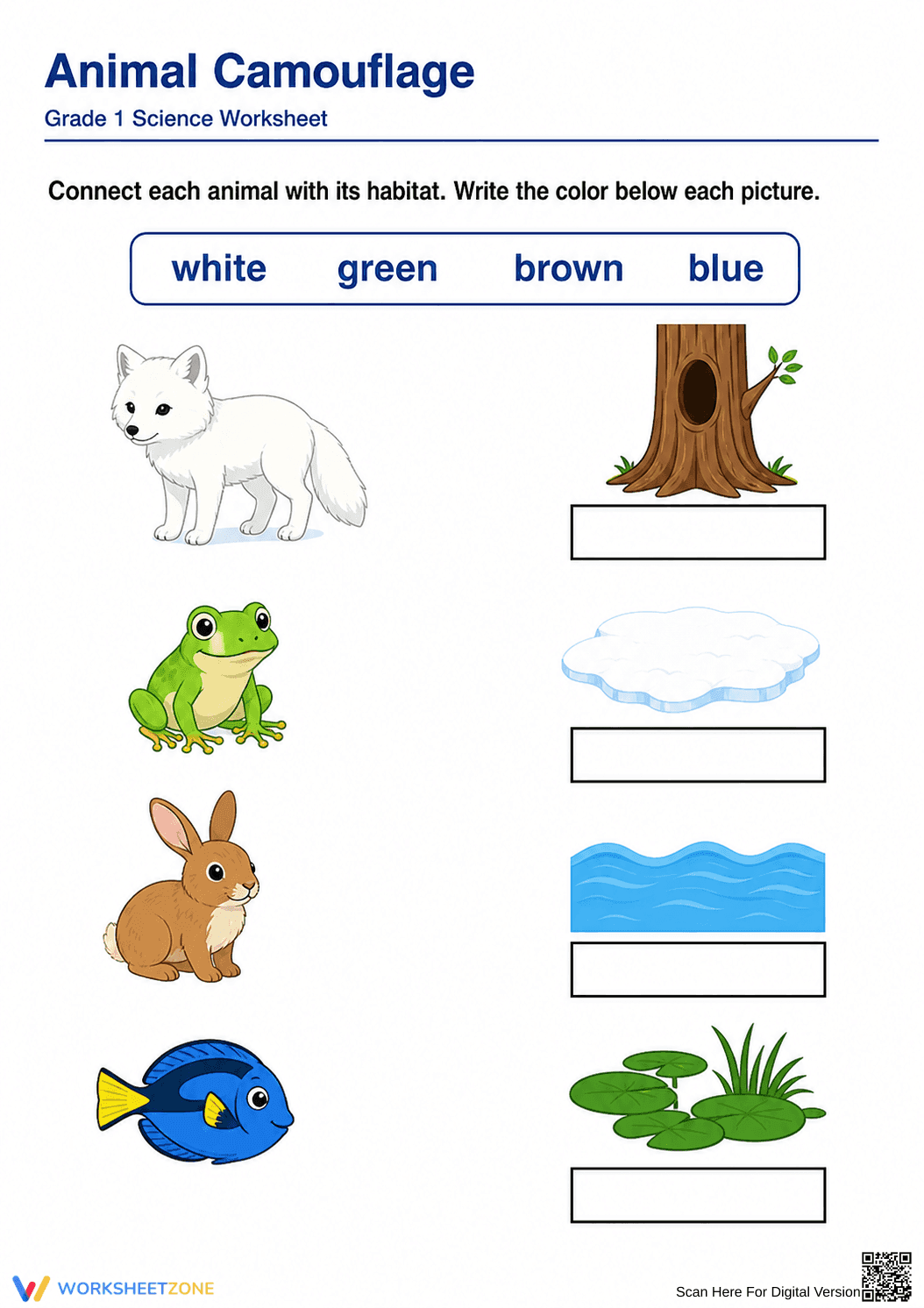 Animal Camouflage Worksheet | Grade 1 Essential Science - Page 1
