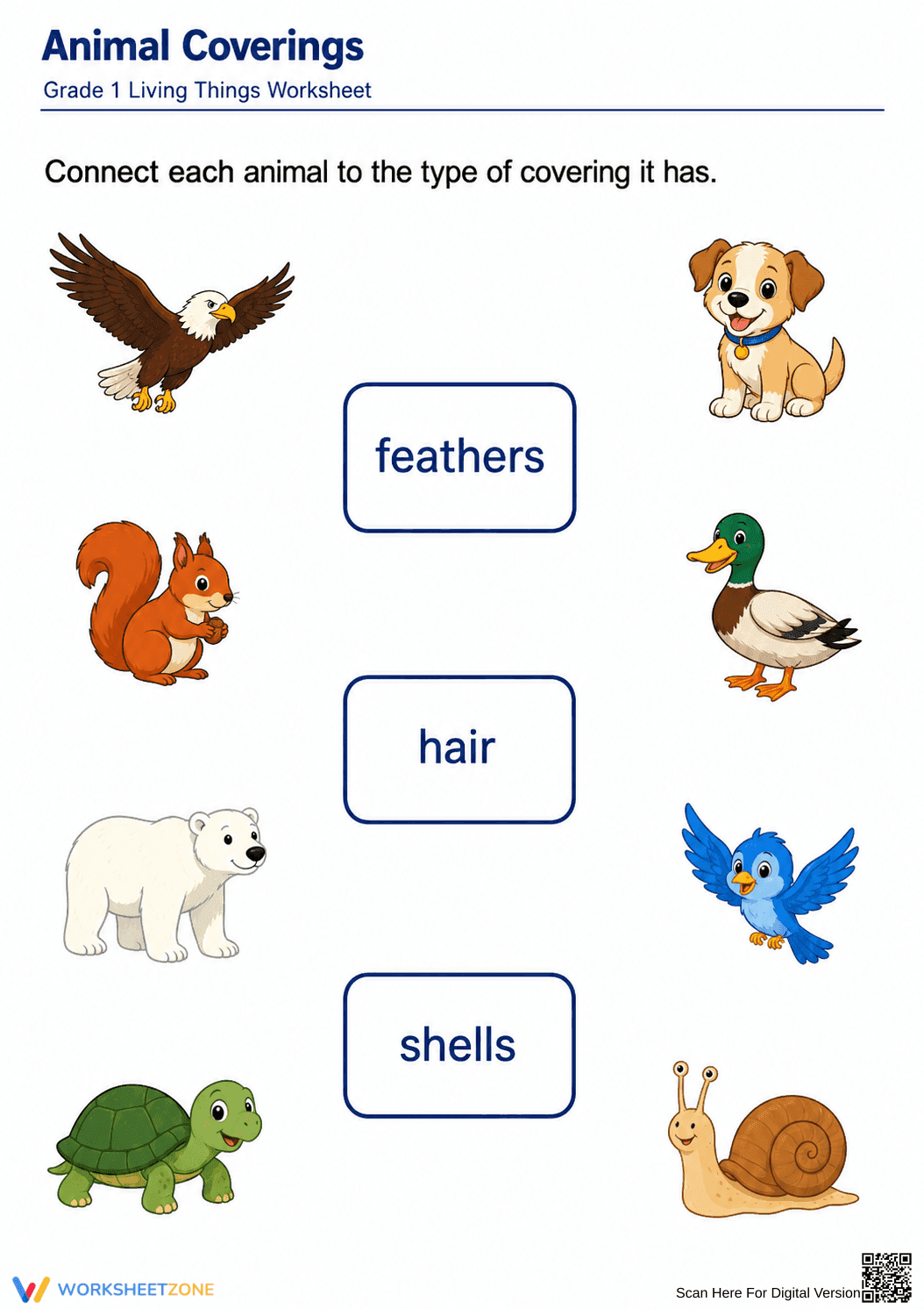 Grade 1 Animal Coverings — Printable No-Prep Worksheet - Page 1