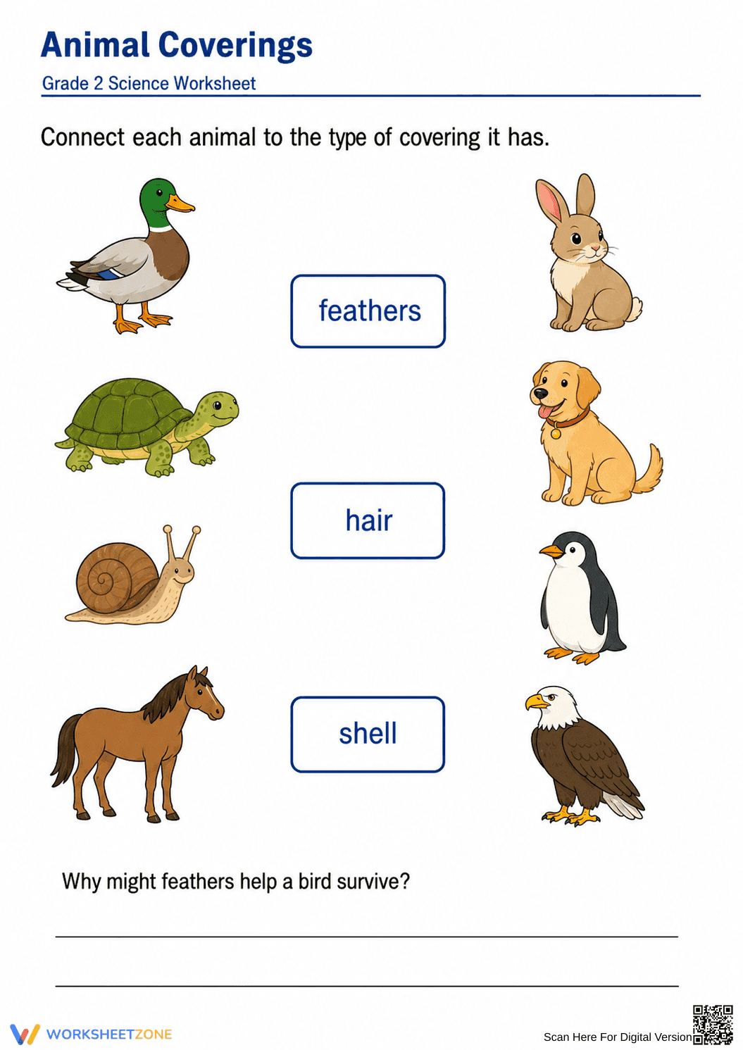 Printable Animal Coverings Worksheet | Grade 2 Science - Page 1