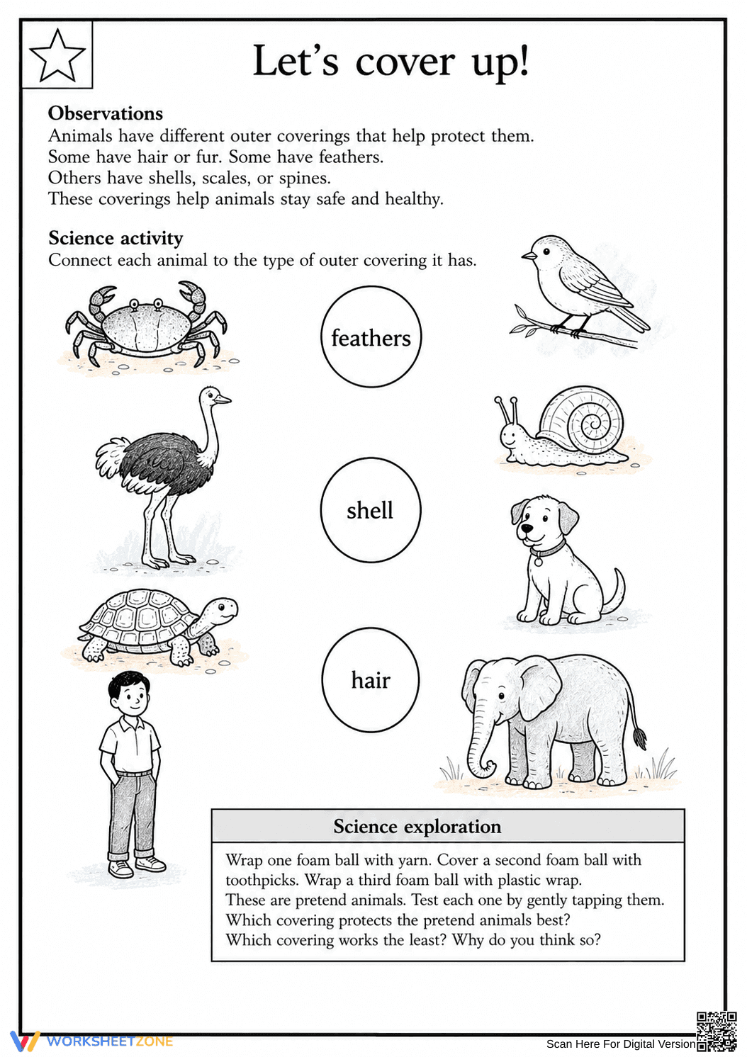Grade 1 Animal Coverings — Printable No-Prep Worksheet - Page 1