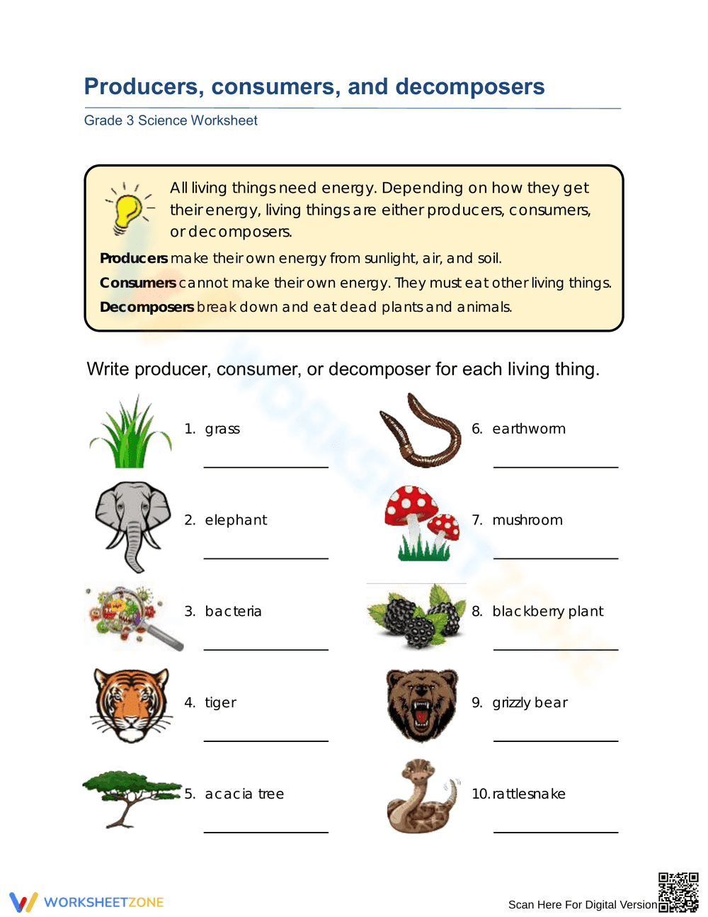 Identifying Producers Consumers and Decomposers - Page 1