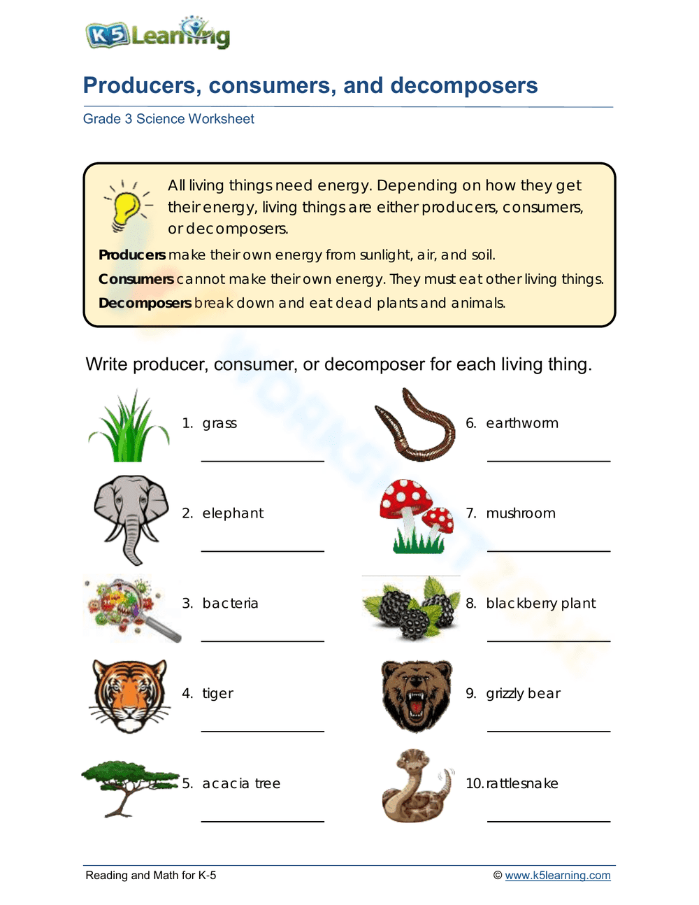 Identifying Producers Consumers and Decomposers - Page 1