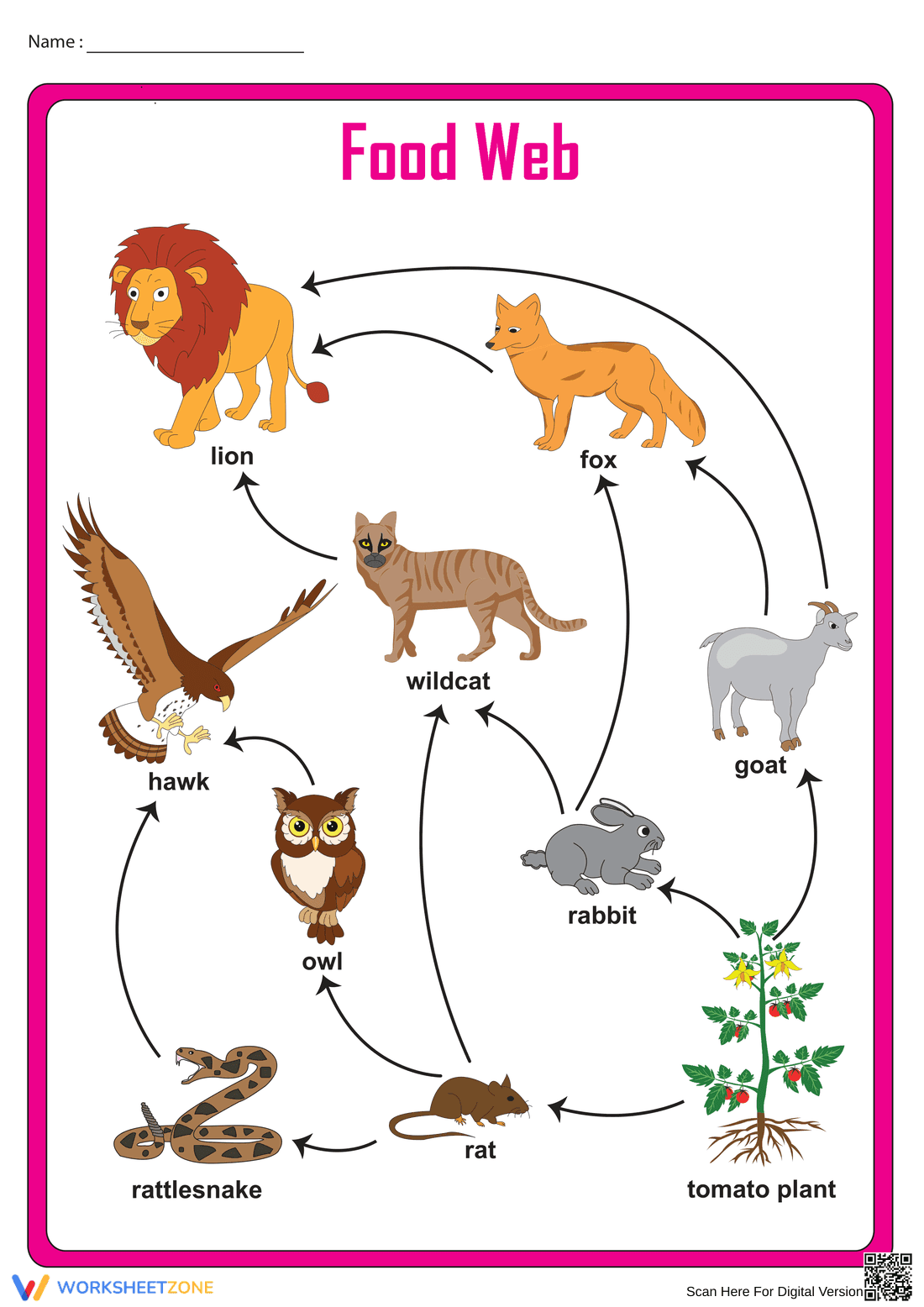 Essential Food Web Chart Worksheet | Grades 3-5 Science - Page 1