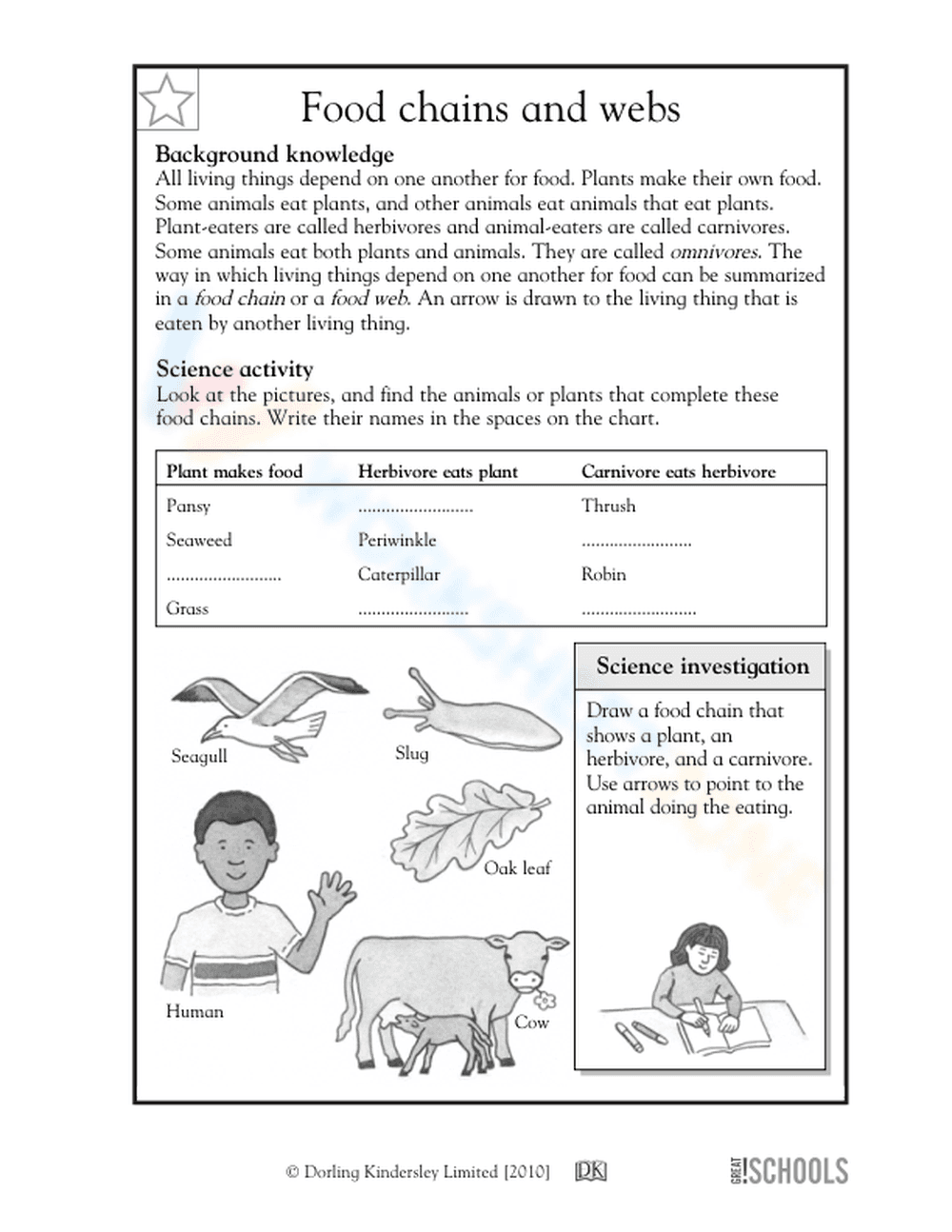 Food chains and webs - Page 1