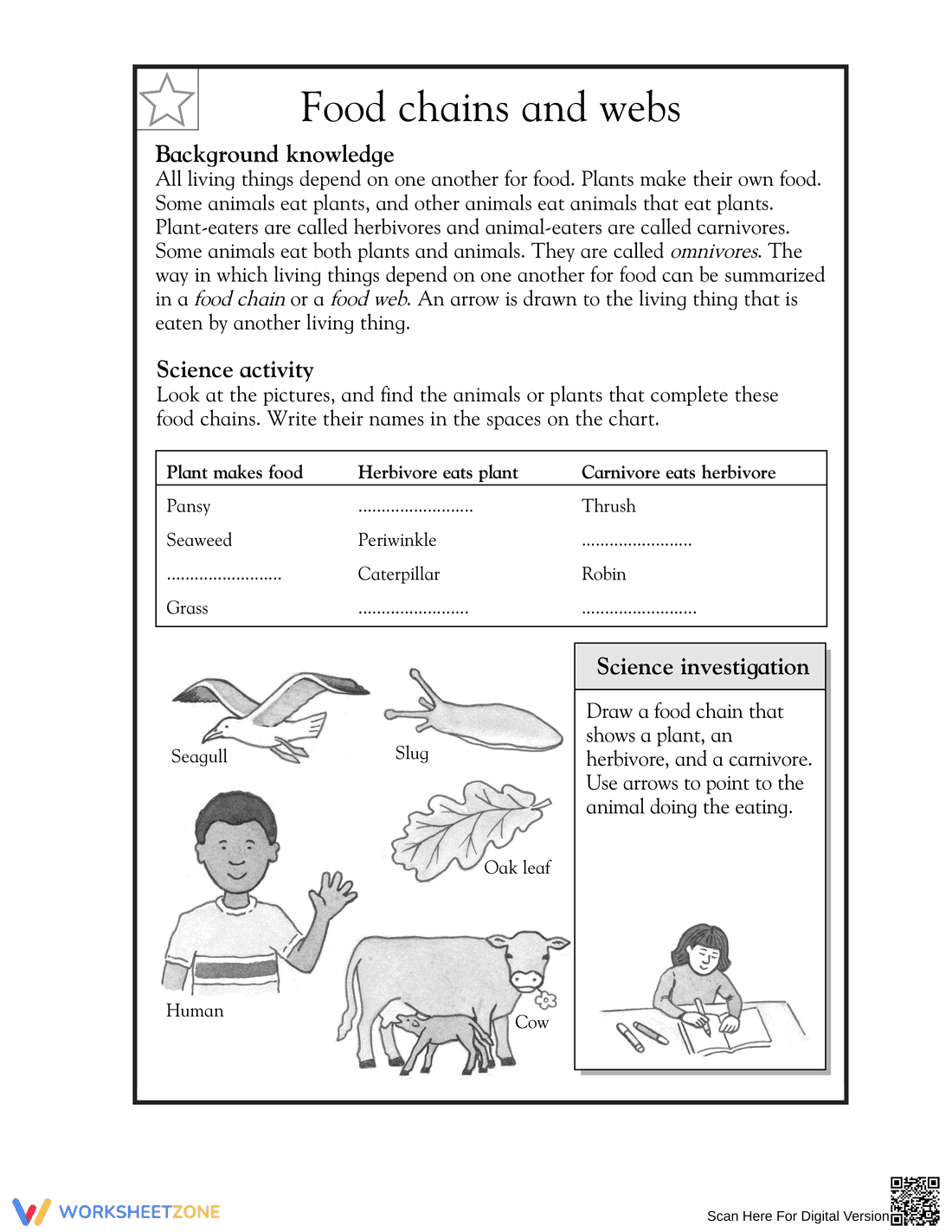 Grade 4 Food Chains — Printable No-Prep Science Worksheet - Page 1