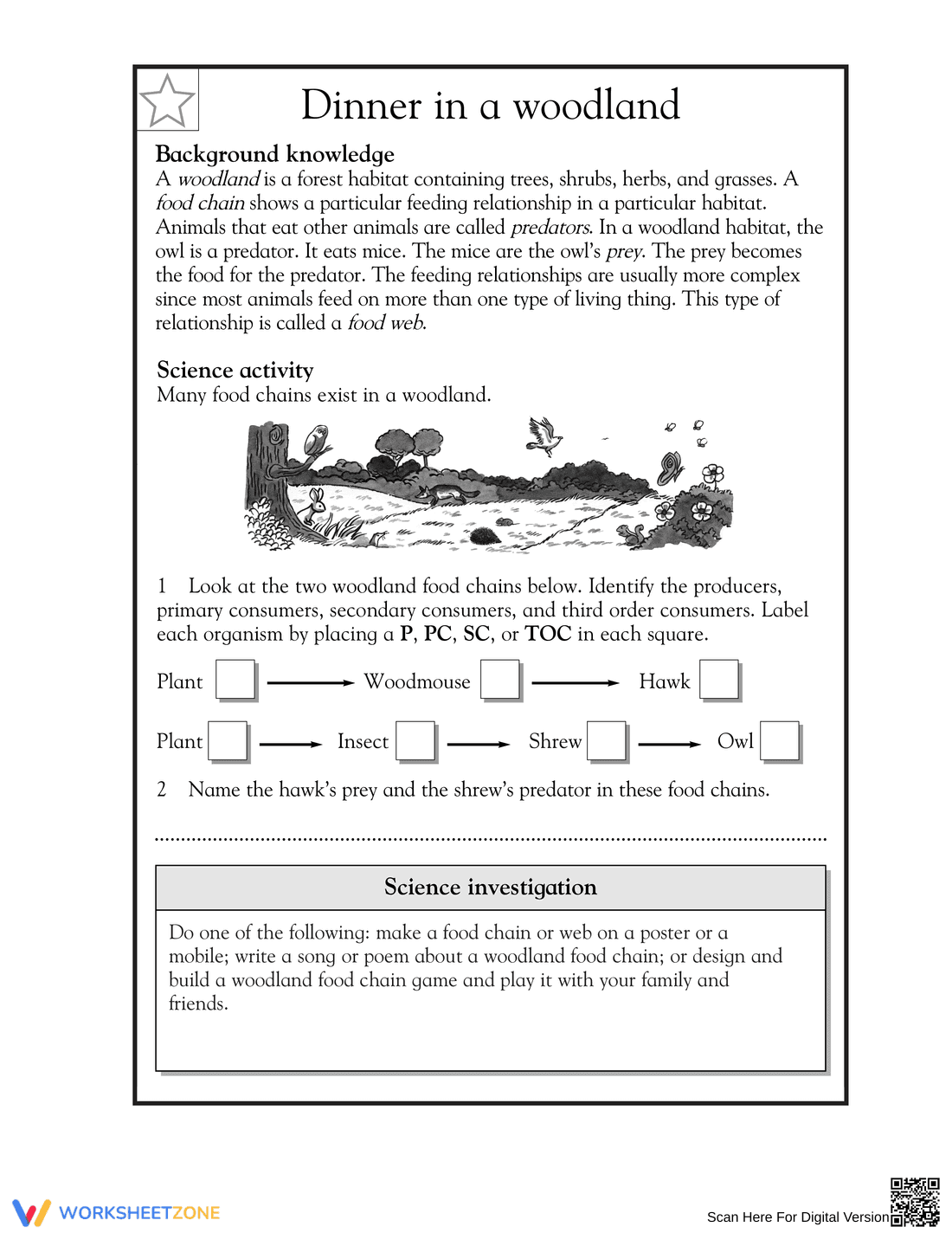 Essential Woodland Food Chains Worksheet | Grade 5 Science - Page 1