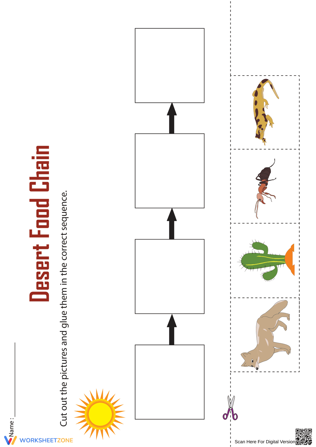 Essential Desert Food Chain Worksheet | Grade 3-4 Printable - Page 1