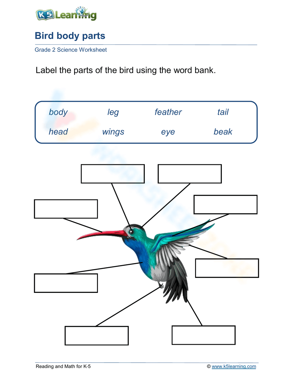 Bird Body Parts Labeling Worksheet for Grade 2 - Page 1