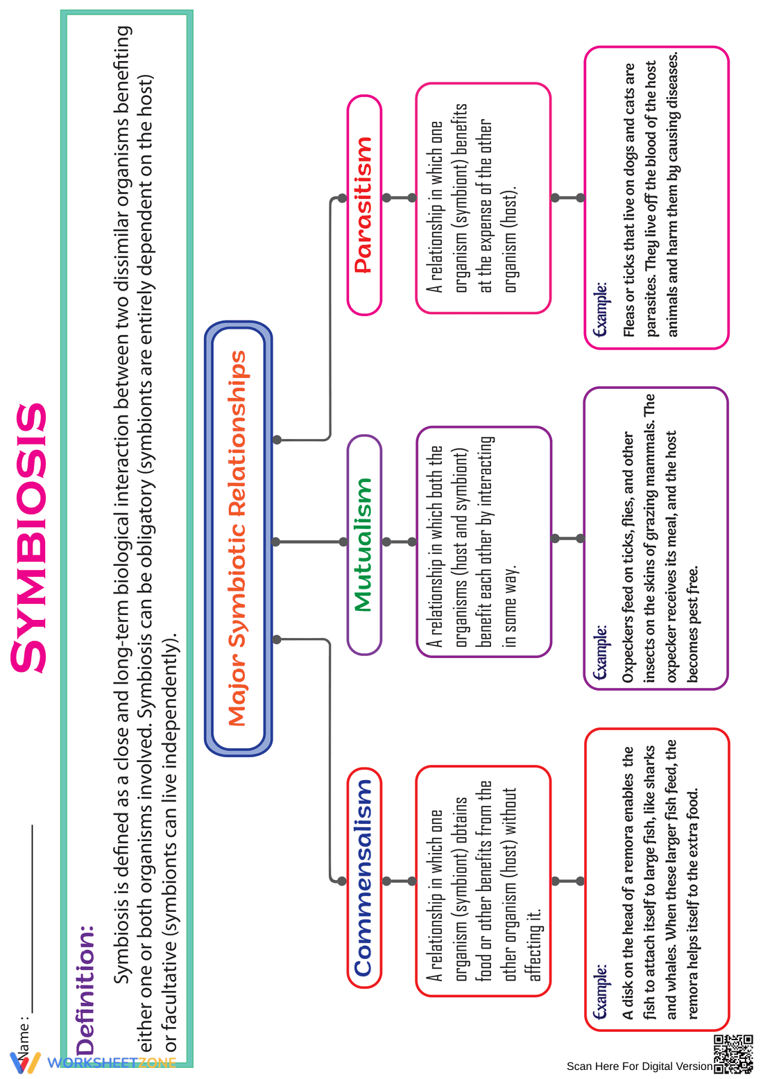 Essential Symbiosis Chart | Grade 6-9 Living Things - Page 1