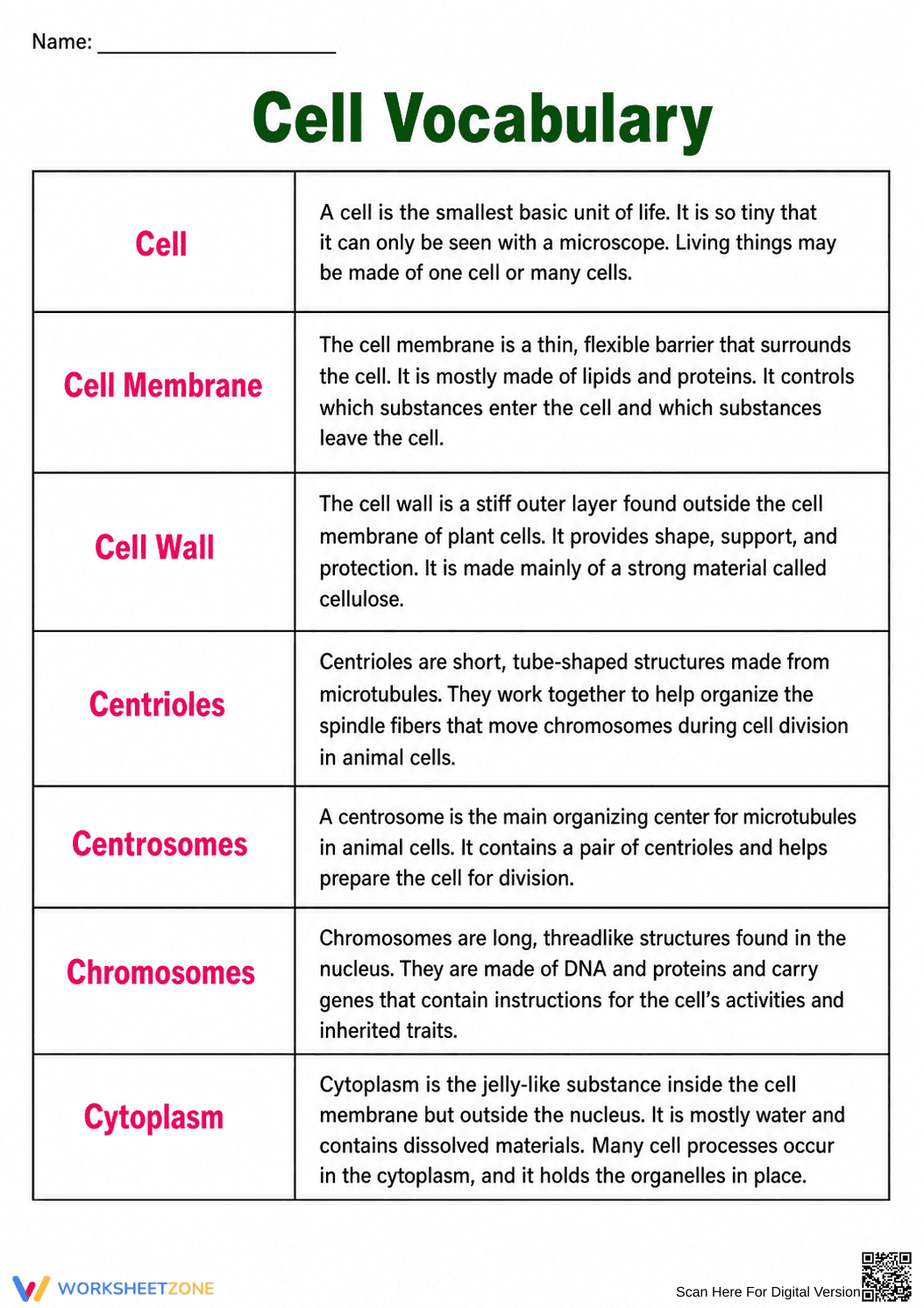 Essential Cell Vocabulary Worksheet | Grade 7 & 8 Science - Page 1