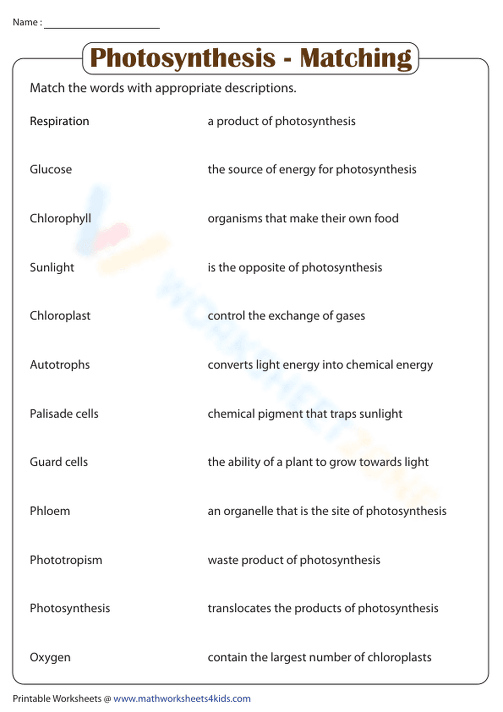 Printable Photosynthesis Matching Activity | Grade 6-7 Ready - Page 1
