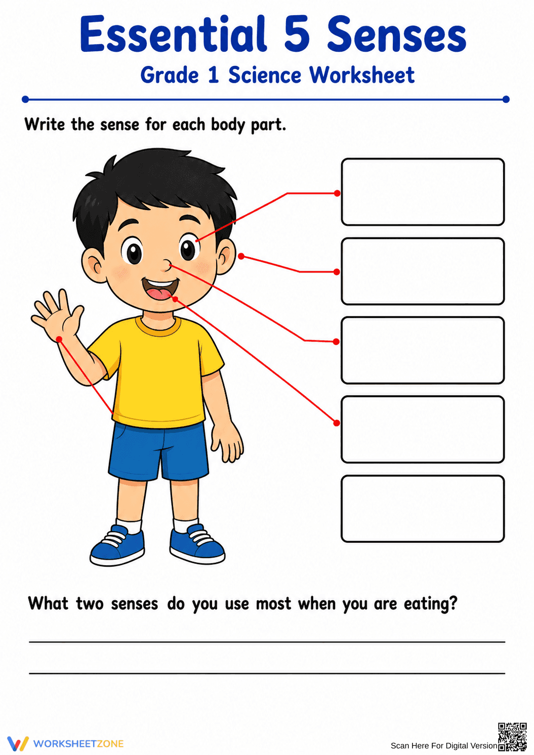 Essential 5 Senses Worksheet | Grade 1 Science - Page 1