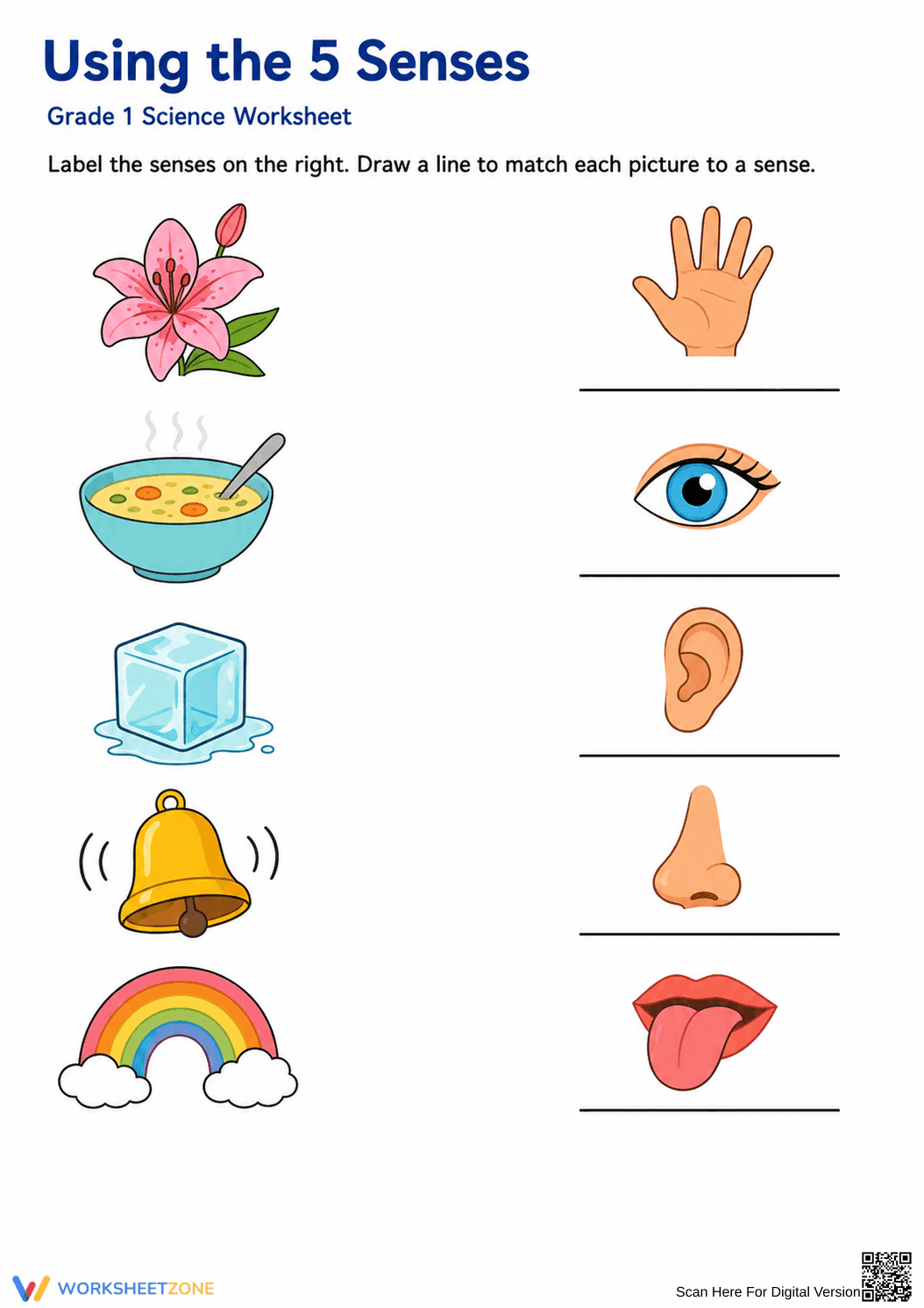 Grade 1 5 Senses Worksheet — Printable Essential Science - Page 1