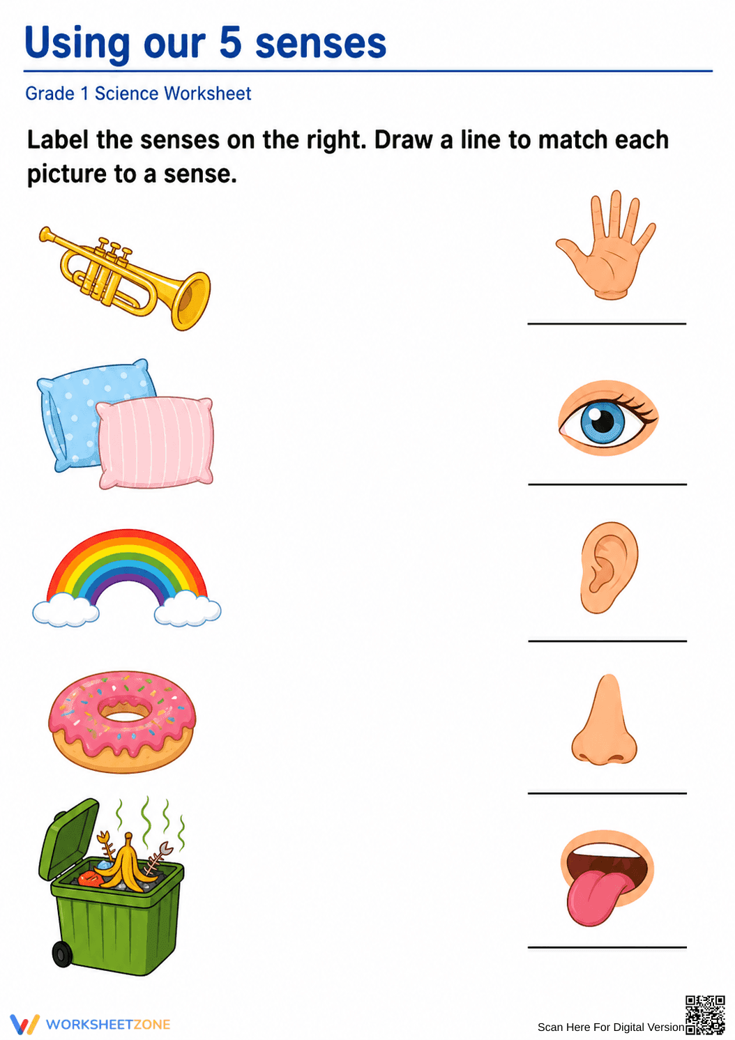 Printable 5 Senses Worksheet | Grade 1 Science Ready - Page 1