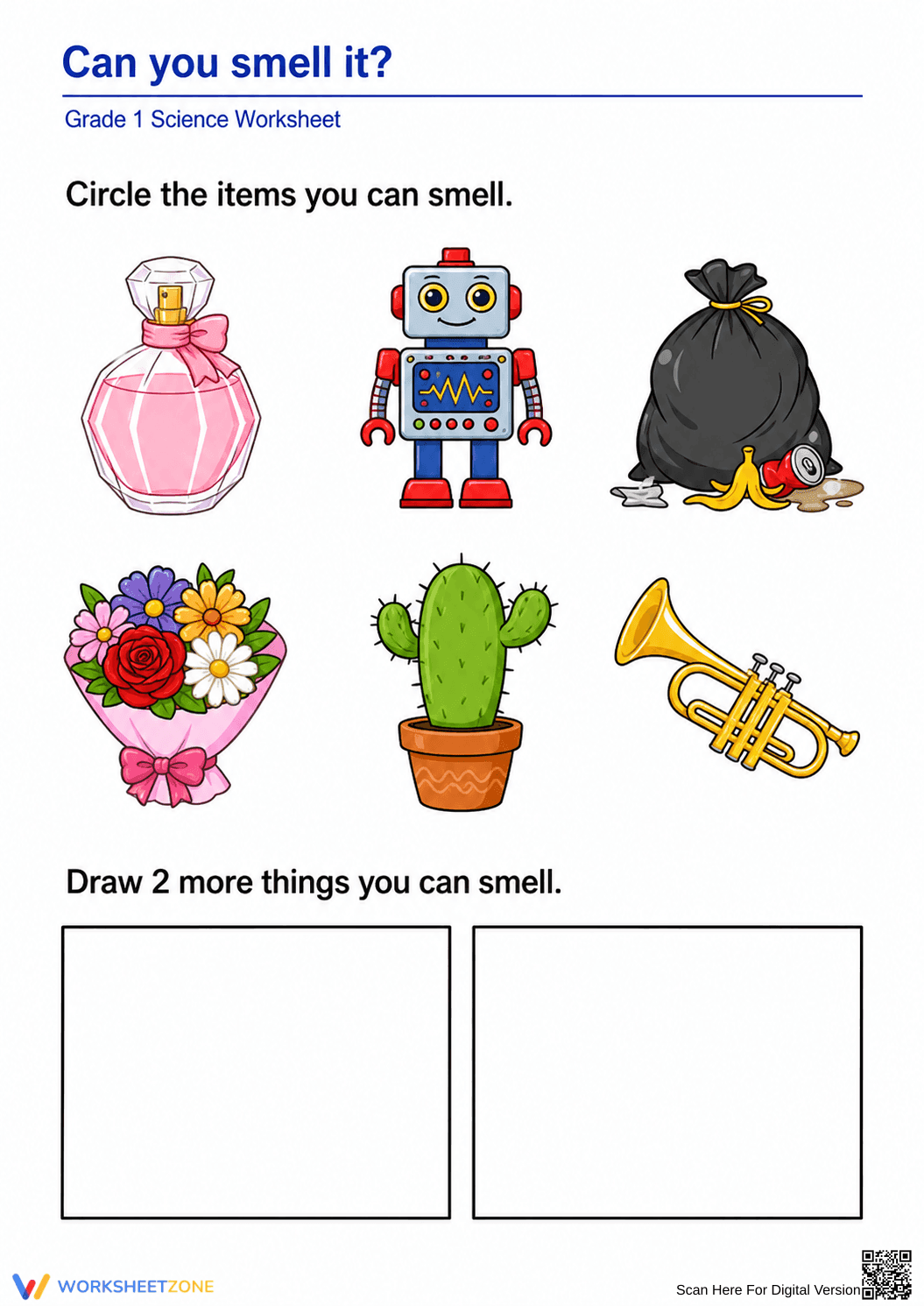 Essential Grade 1 Sense of Smell Science Worksheet - Page 1